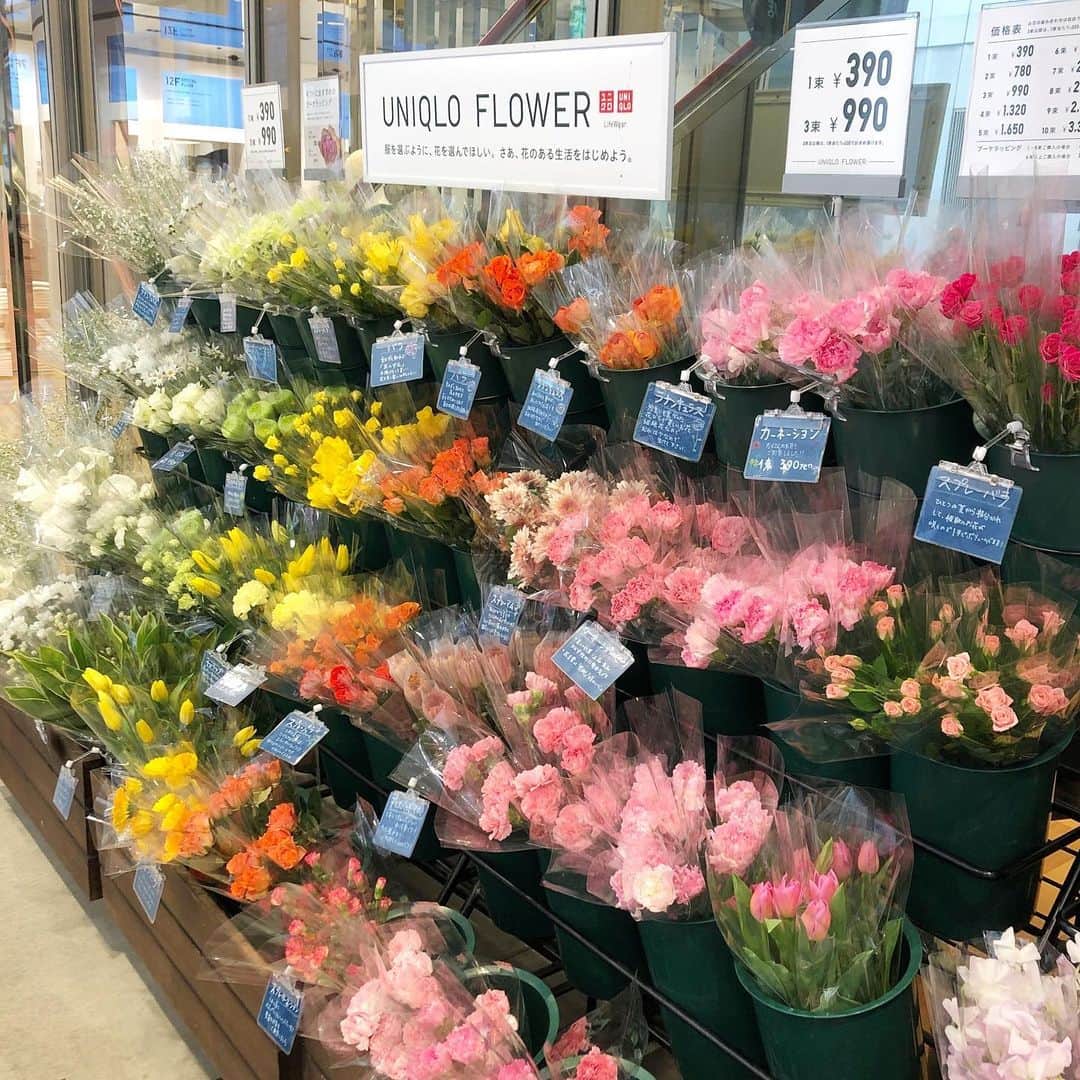 ユニクロ 銀座店さんのインスタグラム写真 - (ユニクロ 銀座店Instagram)「UNIQLO  FLOWER  別れと出会い、新たな旅立ちの季節、春🌷 UNIQLO FLOWERで様々なシーンに彩りを。 季節の花を取り揃えてお待ちしております😊   💐ブーケのご予約、承っております。詳細はスタッフまでお問い合わせくださいませ。   #ユニクロ #UNIQLO  #UNIQLO FLOWER #uniqloginza  #ユニクロ銀座  #flower #花のある暮らし #銀座花屋 #ブーケ #銀座 #ginza  #tokyo」4月8日 11時00分 - uniqlo_ginza