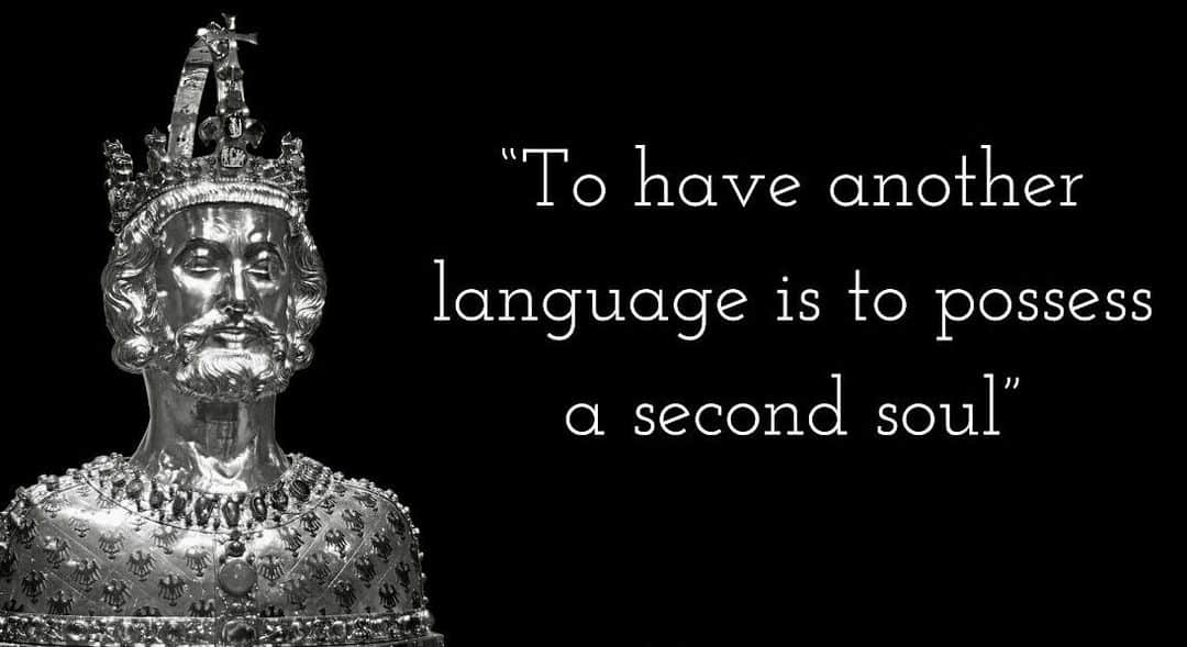 ジョルジュ・サンピエールさんのインスタグラム写真 - (ジョルジュ・サンピエールInstagram)「To have another language is to possess a second soul. -Charlemagne」4月6日 13時32分 - georgesstpierre