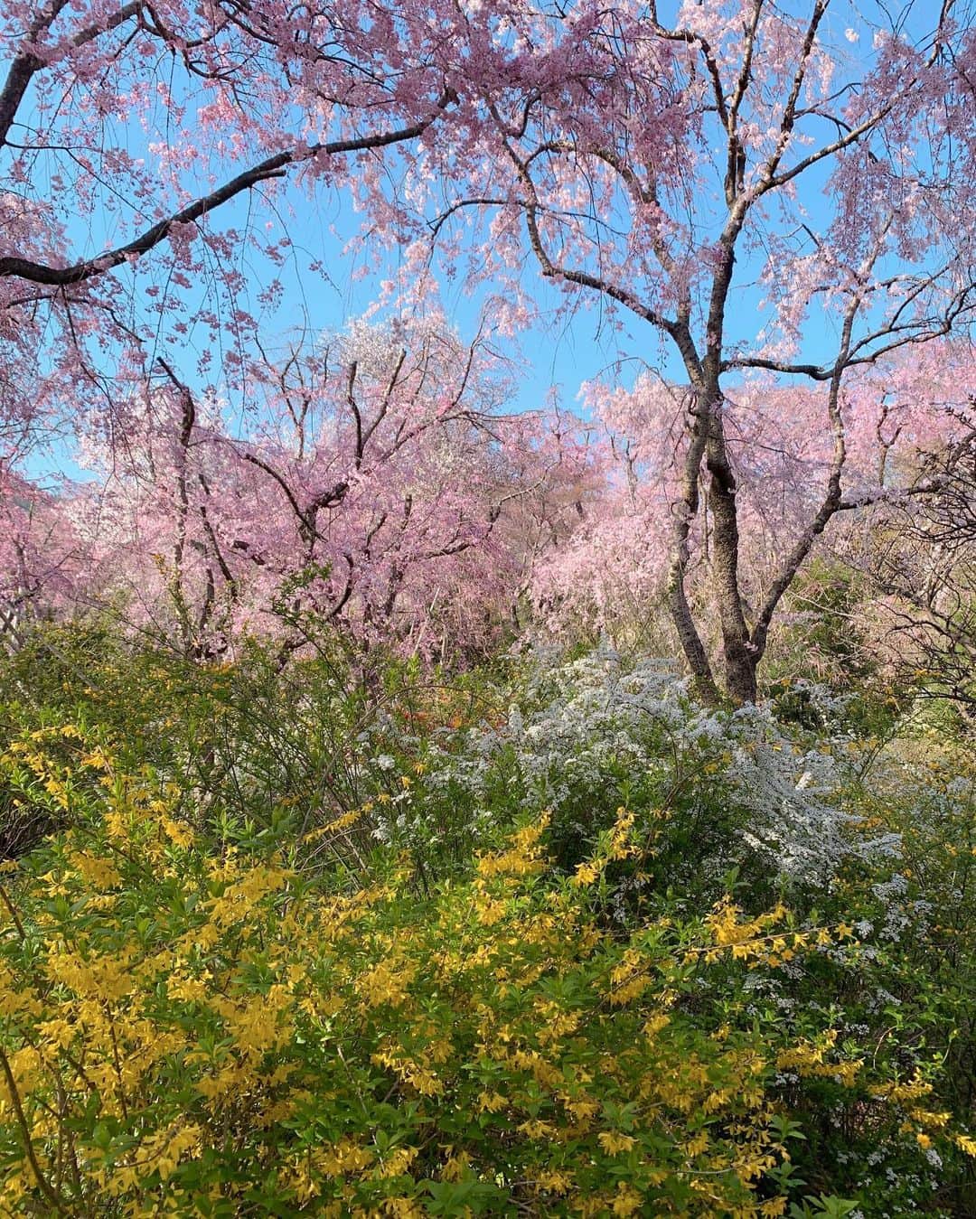 MariIryuのグルメインスタ