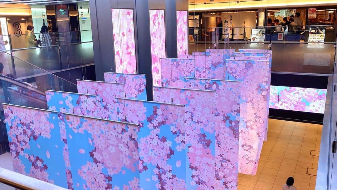 miya(ミヤマアユミ)さんのインスタグラム写真 - (miya(ミヤマアユミ)Instagram)「JR東京駅で開催中の『 #東京駅から春を感じよう 2023 Spring at Tokyo Station』あたたかいリアクションありがとうございます。 4月9日(日)までです。  展示のように足を運んでくださる方がいてとても嬉しいです🌸  ポスターがずらりと並んでいる場所は自分では見つけられなかったのですが大好きなイラストレーター&漫画家さんの @dacchi_tt さんと @hasya31 さんが撮ってきてくれました🥲🫶🌸  尊敬する作家さん、友人や身内にも見てもらえて幸せな期間でした。  東京駅様と制作会社様のおかげでとても素敵な展開をして頂きました。 貴重な機会を本当にありがとうございます。  プレゼント企画も開催中です。ポストカードは参加賞になりますのでゲットして頂けたら嬉しいです🌸 抽選で豪華景品も当たります🎁 詳細は「TOKYO STATION CITY」Webサイトをご確認ください。 @tokyostationcity  http://www.tokyostationcity.com/news/20230322140000/  JR東京駅直結の丸善丸の内本店様では画集 #花kotoba🌸 のサイン本と色紙を置いて頂きます。(追加分の入荷わかり次第お知らせします)  本はイベント後も在庫があればお取り扱い頂けると思います📚 春フェアは残り3日です👜お立ち寄りの際にご覧頂けましたら嬉しいです。  #桜 #さくら #サクラ #spring #東京ステーションシティ #東京駅 #JR #旅行 #旅行コーデ  #artwork #watercolor #水彩 #透明水彩 #art #illust #illustration #draw #illustrator #イラスト #イラストレーター #手描き #アナログイラスト #花 #flower #flowers #ファッション #fashion #ファッションイラスト」4月6日 13時55分 - miya78pic