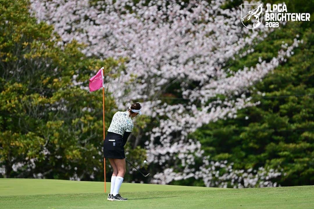 原英莉花のインスタグラム：「惜しかったのかな？桜綺麗🌸」