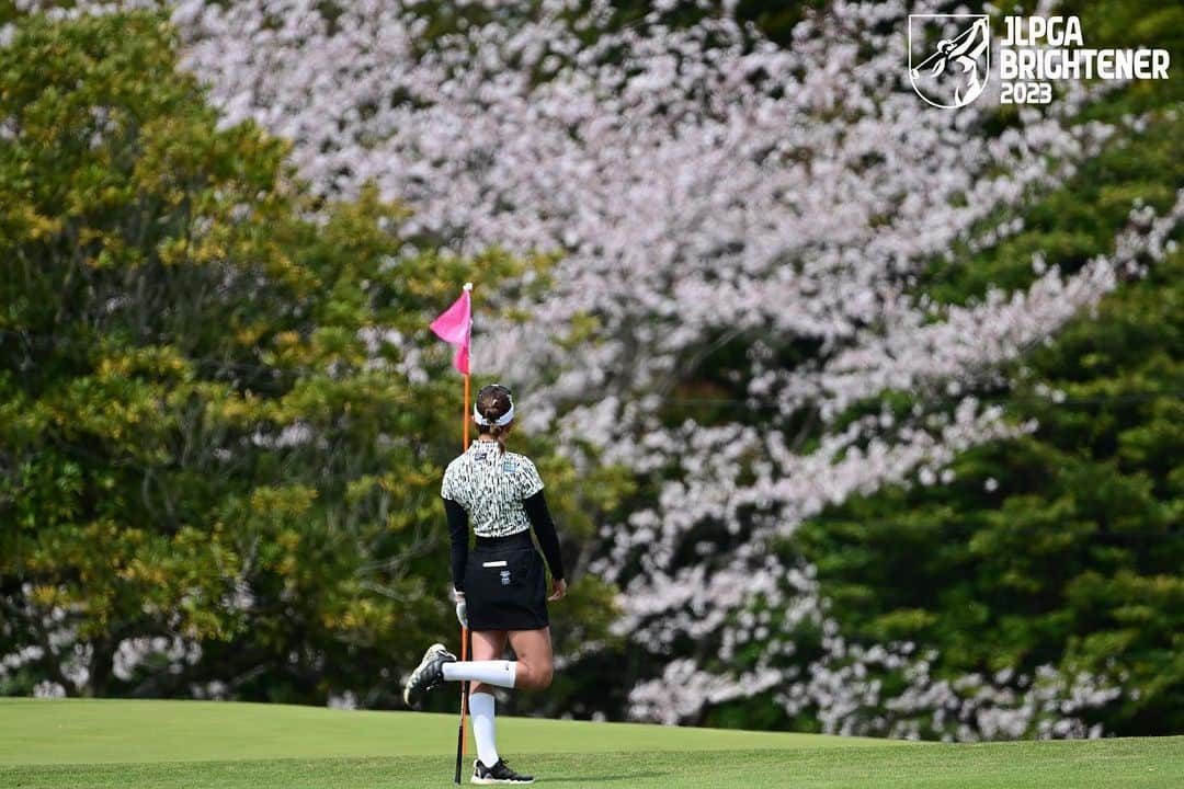 原英莉花さんのインスタグラム写真 - (原英莉花Instagram)「惜しかったのかな？桜綺麗🌸」4月6日 13時59分 - warriorsmilerika_9