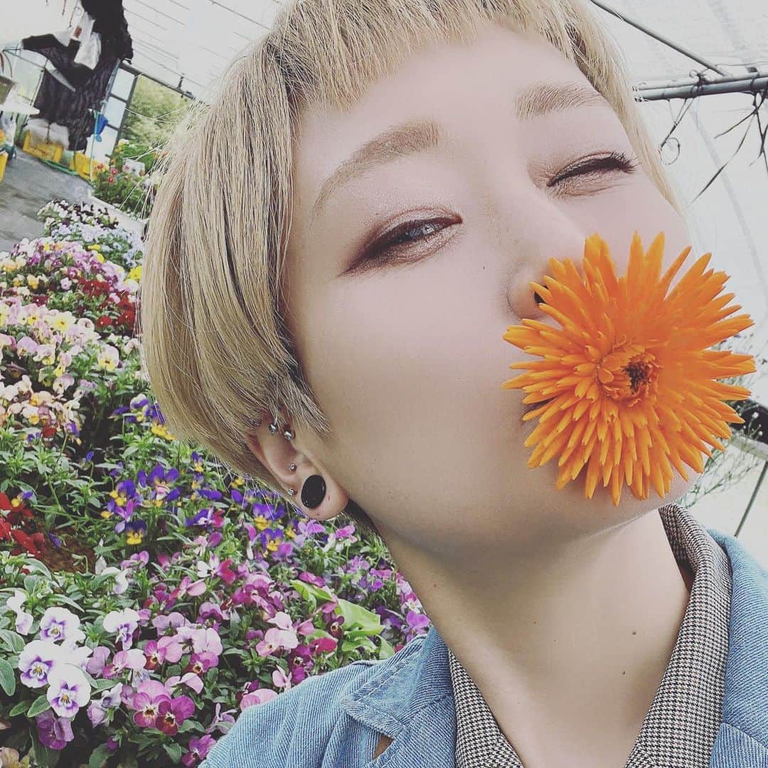 ロシアン佐藤のインスタグラム：「食べられるお花「エディブルフラワー」  無農薬で育てられたエディブルフラワーを摘み放題できるイベント！ 去年南知多のお仕事で知った時にとっても楽しかったのでぜーったいいきたい！！！って思っていたので、行けてよかった！！  山ほどお花やハーブを摘み取って帰りました🫰 秋に行った時とはまた違うお花にも出会えて、お花の味やハーブの味を堪能しました🫶  茎からしっかり切り取って花瓶に挿しておけば1週間くらいもつよーって教えていただいたので長めに切りとったんですけど、それでもたっぷり持って帰れました🤲  バチバチ美味しい魚醤コラトゥーラと菜種油もげっとしたのでまたおうちご飯が楽しみです🌸🍀  摘み放題は5月前半くらいまでまだまだ開催だそうです☺️♡⃛  真野さん今回もありがとうございました〜！！  #エディブルフラワー #崎っぽめし #師崎地区 #農家訪問 #農家 #おはなつme #愛知県 #南知多」