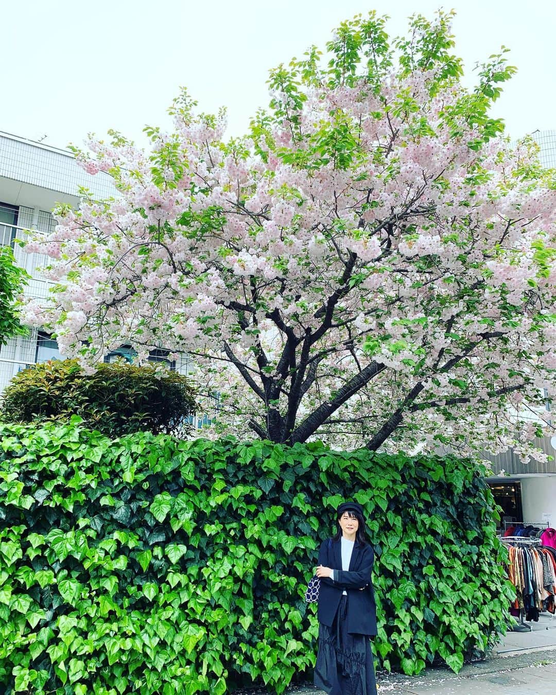 中江有里のインスタグラム：「春のなごりの下。  #中江有里」
