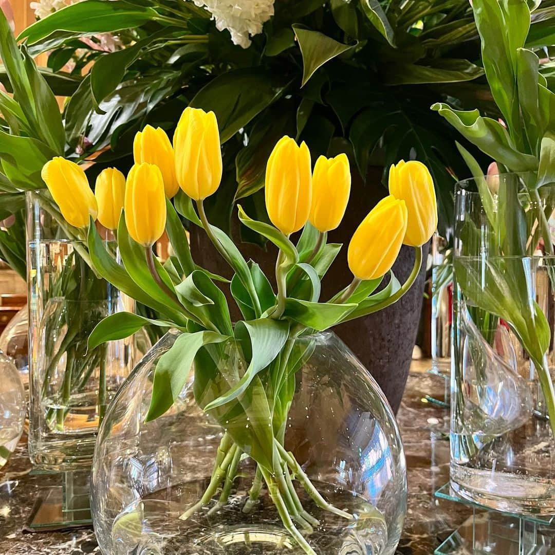 【公式】ホテルニューグランドさんのインスタグラム写真 - (【公式】ホテルニューグランドInstagram)「＊ ＜今月のロビー装花＞ 春らしさをさわやかに表現した中央部分と、 周りには色とりどりのチューリップを活けた お花畑のようなアレンジメントで皆様をお迎えいたします⸜🌷︎⸝‍   #ホテルニューグランド #今月のロビー #ロビー装花 #ホテルロビー #4月 #横浜 #横浜ホテル #花のある暮らし #お花 #お花見 #ウェルカムフラワー #ウェルカムスペース #歓迎 #フラワーアレンジメント #チューリップ #hotelnewgrand #yokohama #flowerstagram #flower #Spring」4月6日 15時16分 - hotelnewgrand