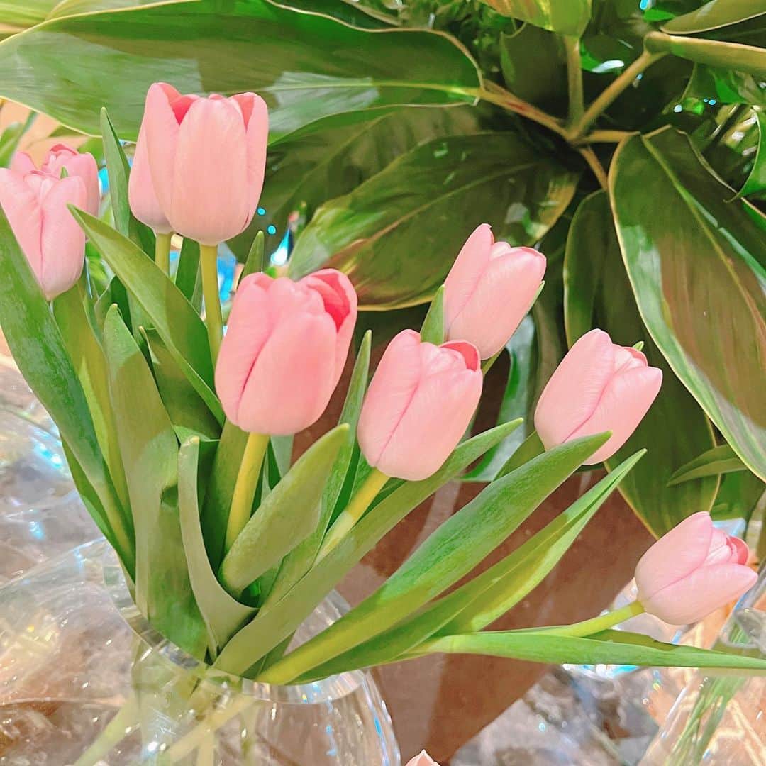 【公式】ホテルニューグランドさんのインスタグラム写真 - (【公式】ホテルニューグランドInstagram)「＊ ＜今月のロビー装花＞ 春らしさをさわやかに表現した中央部分と、 周りには色とりどりのチューリップを活けた お花畑のようなアレンジメントで皆様をお迎えいたします⸜🌷︎⸝‍   #ホテルニューグランド #今月のロビー #ロビー装花 #ホテルロビー #4月 #横浜 #横浜ホテル #花のある暮らし #お花 #お花見 #ウェルカムフラワー #ウェルカムスペース #歓迎 #フラワーアレンジメント #チューリップ #hotelnewgrand #yokohama #flowerstagram #flower #Spring」4月6日 15時16分 - hotelnewgrand