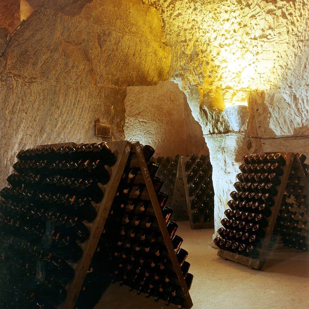 PicLab™ Sayingsさんのインスタグラム写真 - (PicLab™ SayingsInstagram)「Nothing beats a glass of bubbly. 🍾 🥂 New to our website - 5 reasons to visit the champagne region in France. Reims, an area in northeastern France, proves to be a stellar spot to base for Champagne tasting with its gorgeous vineyards, art deco architecture, and quaint cafes. Check out our recommendations at the link in our bio! 🔗」4月7日 2時13分 - paradise