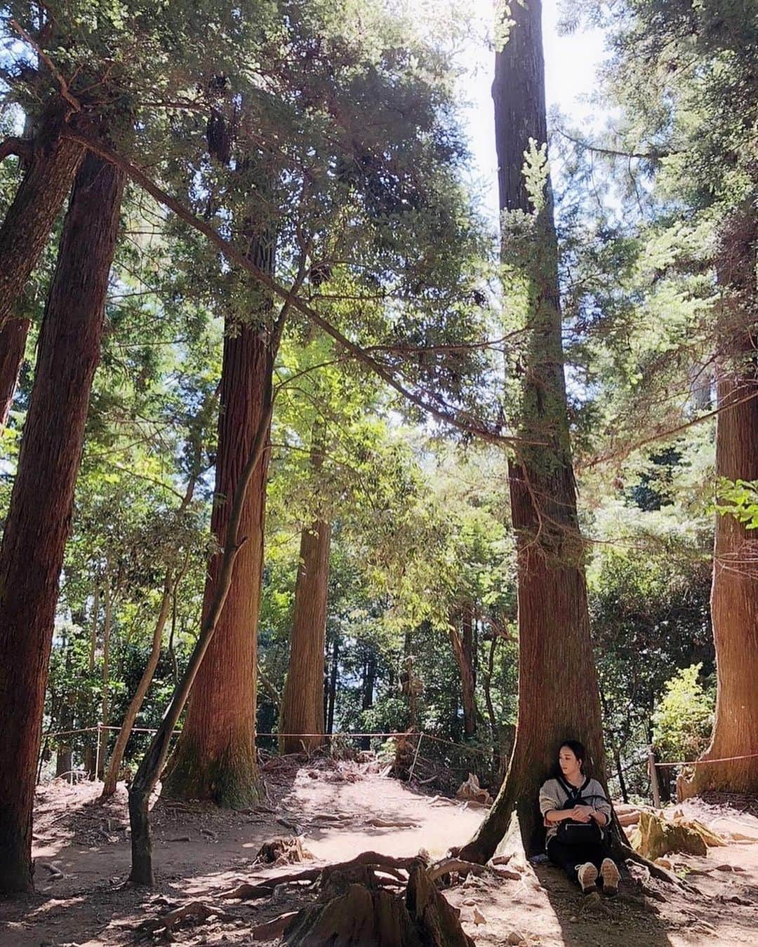 彩咲めいさんのインスタグラム写真 - (彩咲めいInstagram)「🌲🌳🌲🌳 森林浴✨ 深く呼吸ができる大切な場所 心身ともにクリアになる心地のいい空間✨ 🌲🌳🌲🌳」4月7日 0時45分 - mei.ayasaki91