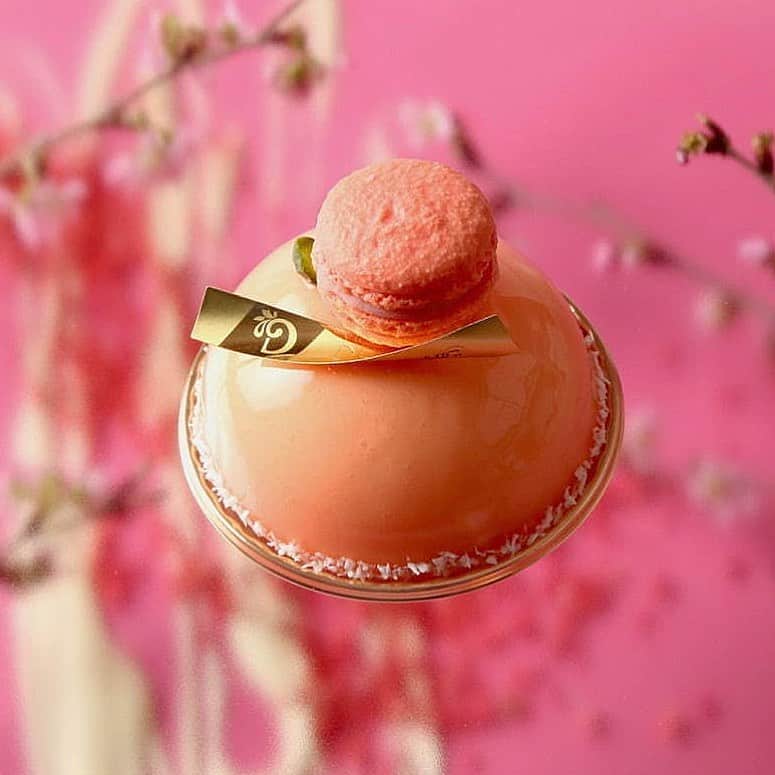 eguchikazuakiのインスタグラム：「もうすぐ桜のお菓子も終わりかな🌸  桜のケーキは食べてくれましたか❓  このケーキめちゃくちゃ美味しいのでぜひ食べてみてください マスカルポーネと桜って相性抜群だと思うんです  最近立て続けに専門学校から 講師の依頼があるんですが、急にどうしたんだろ❓ 私から知りたい事、なんだろ。 お互いの時間はめちゃくちゃ貴重だから大人向けはあまりやらないけど 学生向けにはやろうかなと思う 2023年です👋🏻  #delimmo #sakura #cakedesign #cherryblossom #cherryblossoms #japan #japon #japansakura #gateaux #springday #patissiere #chocolatier #kazu #youtuberecipe」