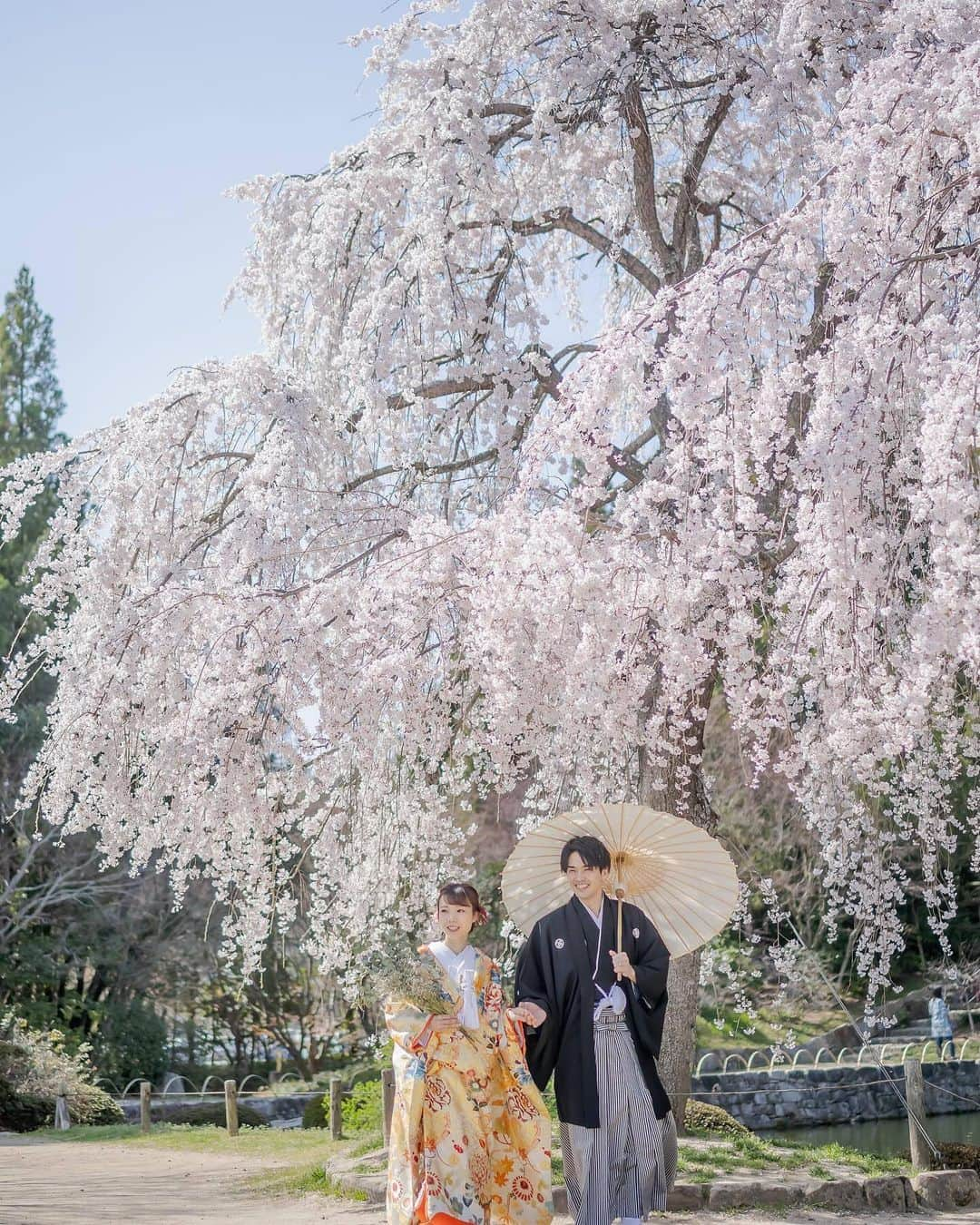 ラヴィ•ファクトリーさんのインスタグラム写真 - (ラヴィ•ファクトリーInstagram)「. 【写真で叶える結婚式】 . 日本の美しい桜を背景に 艶やかな色打掛が美しく映えます✨ この時期ならではの ロケーションでのお写真をお楽しみください🌸  . —————— ラヴィファクトリー: @hiroshima_laviefactory AREA:JAPAN,HIROSHIMA —————— @laviefactoryをフォローして #laviefactory #ラヴィファクトリー のハッシュタグをつけて お写真を投稿してみてくださいね✳︎ . こちらの公式IG（@laviefactory） で取り上げさせていただきます✨ . 思わず笑顔になれるハートのある 「家族写真」はラヴィクルール* >>>@laviecouleur_official . #wedding #weddingphotography #photo  #ハートのある写真 #instawedding #結婚写真 #ウェディング #ウェディングフォト #撮影指示書 #ロケーションフォト #前撮り#写真好きな人と繋がりたい #フォトウェディング #卒花 #後撮り #ウェディングニュース #前撮り小物 #前撮りフォト #前撮りアイテム #ウェディング撮影 #撮影構図 #前撮りアイディア #撮影指示書 #花嫁コーディネート #広島花嫁 #桜フォト #桜ウェディング #色打掛」4月6日 17時17分 - laviefactory