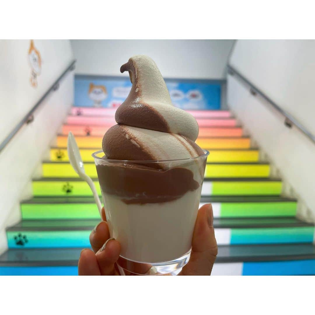 おかゆさんのインスタグラム写真 - (おかゆInstagram)「🎼🐶🍦🎶🎸💫🌈  東京は葉桜の場所が多くなってきましたが 皆さんの地域の桜模様はいかがですか…？🌸🌿  写真は、先日渋谷で食べた杏仁ソフトです🐶 虹色の階段の前で🍦🌈 ミックスにしました😋🤎🤍  明日夕方6時~は BSテレ東「#徳光和夫の名曲にっぽん」 石川さゆりさん2時間スペシャルの再放送です👘🗾 是非ご覧下さいね！🤗🌈  https://www.bs-tvtokyo.co.jp/meikyoku/?_gl=1*1fb4z2w*_ga*MTI0Nzc5MjgyLjE2ODA3NjgxODc.*_ga_VLBDNDPMWJ*MTY4MDc2ODE4Ny4xLjEuMTY4MDc2ODI3MC4wLjAuMA..  #渋谷 #杏仁ソフト #虹 #ソフトクリーム部」4月6日 17時16分 - okayu_dayu