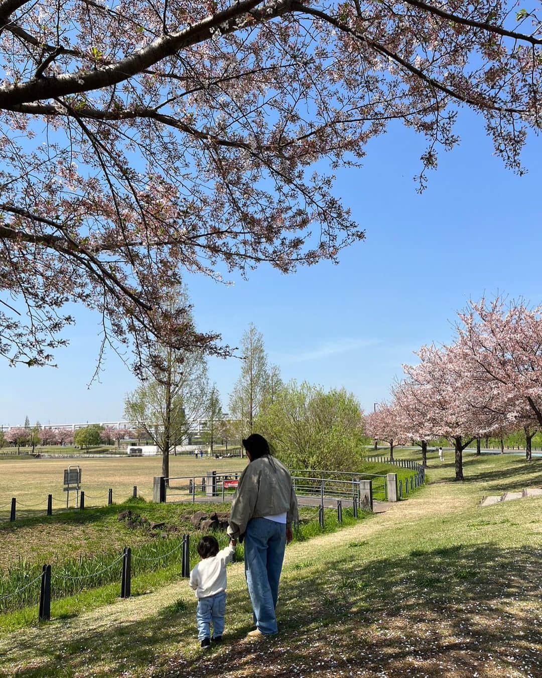 Rimiのインスタグラム：「最近お気に入りの公園でお友達とお花見🌸 桜の季節にたくさん行けてよかった🤍 娘達がお昼寝の間にお兄ちゃんは 遊んでもらったりして楽しい1日だった🤍  #baby#babygirl#babyfashion#babyclothes#clothes#fashion#cordinate#family#familyphoto#photo#cherryblossom #japan#1歳#0歳#赤ちゃん#男の子ベビー#女の子ベビー#女の子コーデ#男の子ママ#女の子ママ#兄妹#年子ママ#年子#赤ちゃんのいる生活#親子コーデ#家族写真#お花見#桜#さくら」