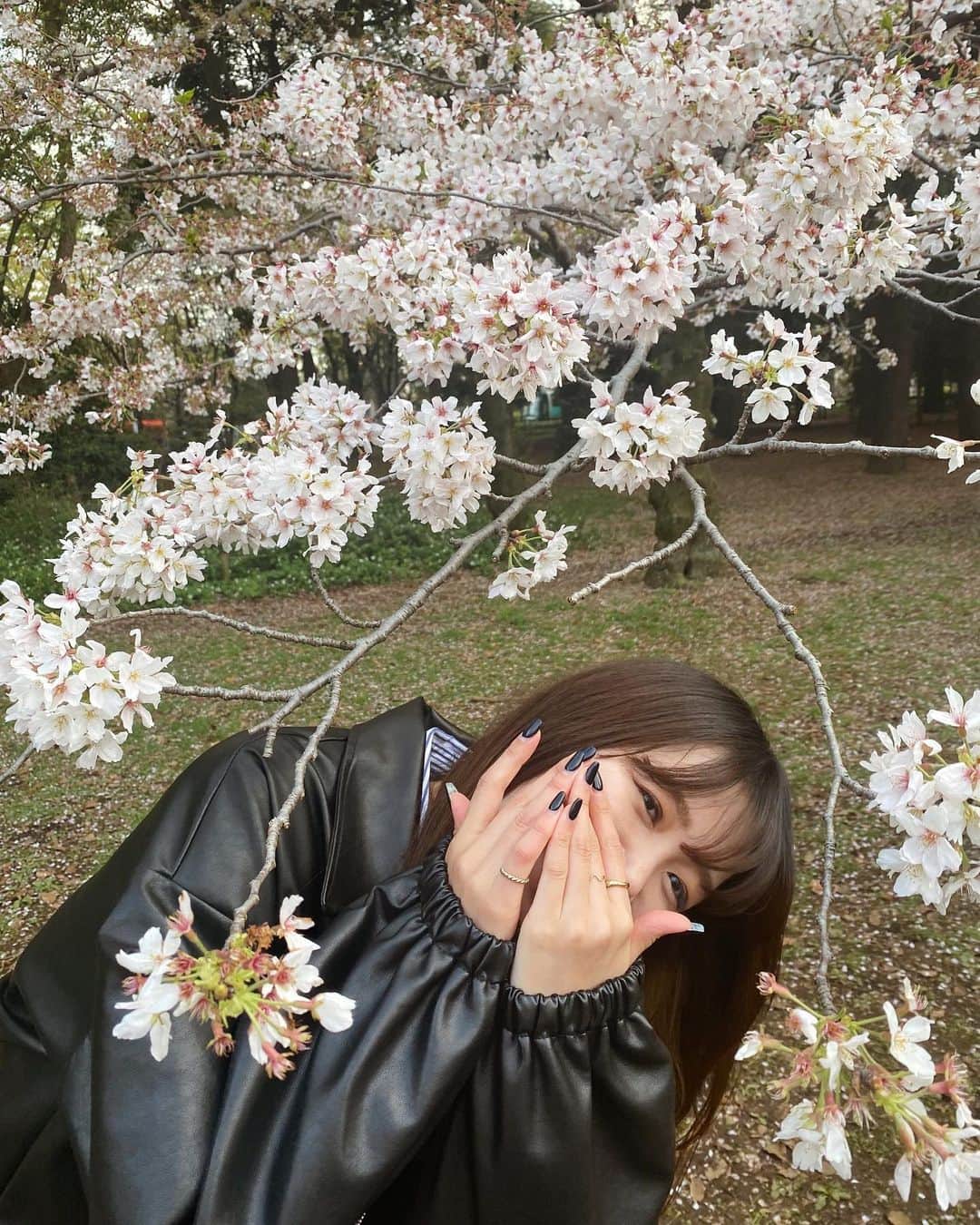 野村明日香のインスタグラム：「⁡ 桜散る前に行けてよかったセーフ🌸（1週間以上前） ⁡ #お花見 #桜 #代々木公園 #お花見スポット」