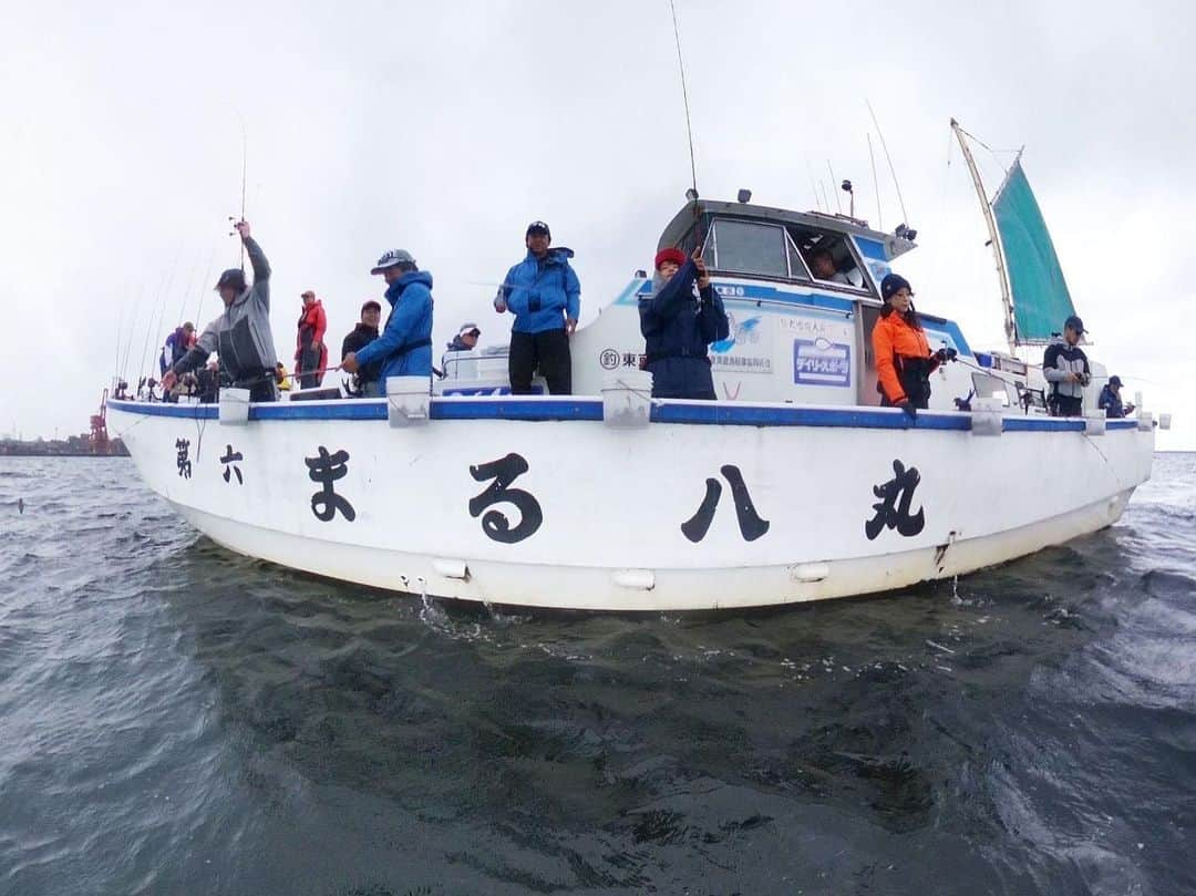 晴山由梨さんのインスタグラム写真 - (晴山由梨Instagram)「東京湾ライトアジ🐟  DAIWAの船テスターミーティングで 平和島のまる八さんにお邪魔してきました！ 新製品を試したり、意見交換できる貴重な時間✨  今週末のアジ釣りイベントの練習もと思ったけど、 調子出ずバラしまくり😱 ようやくポツポツ釣れ始めて、 2点掛けできたところで終了となりました（笑）  DAIWA船テスターの皆さまお疲れさまでした！ そして今週末のイベントにご参加の皆さま、よろしくお願いします😊  @daiwafune   ---------------- ロッド：DAIWA LEADING LG 73MH-185MT リール：DAIWA 20ADMIRA A100XH 仕掛け：DAIWA 快適アジビシ仕掛け速攻  #東京湾 #まる八 #ライトアジ #釣り #LTアジ #船釣り #エサ釣り #沖釣り #アジ釣り #daiwa #fishing」4月6日 17時54分 - hareyama_yuri