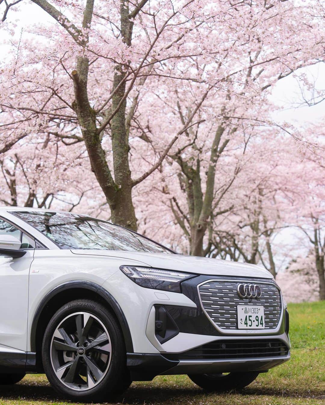 アウディ ジャパンさんのインスタグラム写真 - (アウディ ジャパンInstagram)「満開の桜に抱かれるようにして佇む、Audi Q4 e-tron。  桜色の背景に映えるグレイシアホワイト メタリックのボディと存在感あるシルエットが相まって、プレミアムEVに相応しい美しさを放つ。  *特別な許可を得て撮影しています。  #AudiQ4etron  #Audi #アウディ #アウディQ4etron #Q4 #AudiJapan #FutureIsAnAttitude #電気自動車 #EV #CarLife #CarLifeStyle #AudiLife #GermanCars #サステナビリティ #桜 #サクラ #さくら #cherryblossom #桜と愛車 #常灯ヶ峰 #大石寺 #静岡 #日本の風景 #国内旅行 #静岡ドライブ」4月6日 18時00分 - audijapan
