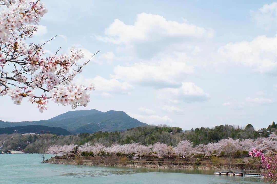 旅色さんのインスタグラム写真 - (旅色Instagram)「川のある景色フォトコンテスト への投稿ありがとうございます！投稿された中からいくつかの作品をご紹介📸✨ 桜も入れた春らしい4投稿です🌸 ……………………………………………  1枚目 ：@yamatohananohanashiさん 2枚目 ：@hide.2405さん 3枚目 ：@taka_washu_llm2001さん 4枚目 ：@_keisukesaito_さん  ……………………………………………  フォトコンテストの投稿は《5月31日（水）》まで！ 過去に撮影した写真でもOK！ スマホや一眼レフなど、撮影機材は問いません。もちろん、何枚投稿してもOK！（⚠ただし1投稿1枚）  また、過去投稿に＃を追加したものは選考対象外となります。 お手数ですが、過去写真も再度投稿しなおしていただきますようお願いいたします🙇🏻‍♀️  ／ 引き続きたくさんの投稿をお待ちしております☺✨ ＼  #旅色 #四万十市フォトコン2023 #キャンペーン実施中 #フォトコンテスト #フォトコン #フォトコンテスト開催中 #写真好きな人と繋がりたい #カメラ好きな人と繋がりたい #写真好きな人と繋がりたいりたい #写真撮ってる人と繋がりたい #写真部 #カメラ女子 #カメラ男子 #絶景 #四万十市 #四万十市観光 #四万十市観光スポット #四万十川」4月6日 18時00分 - tabiiro