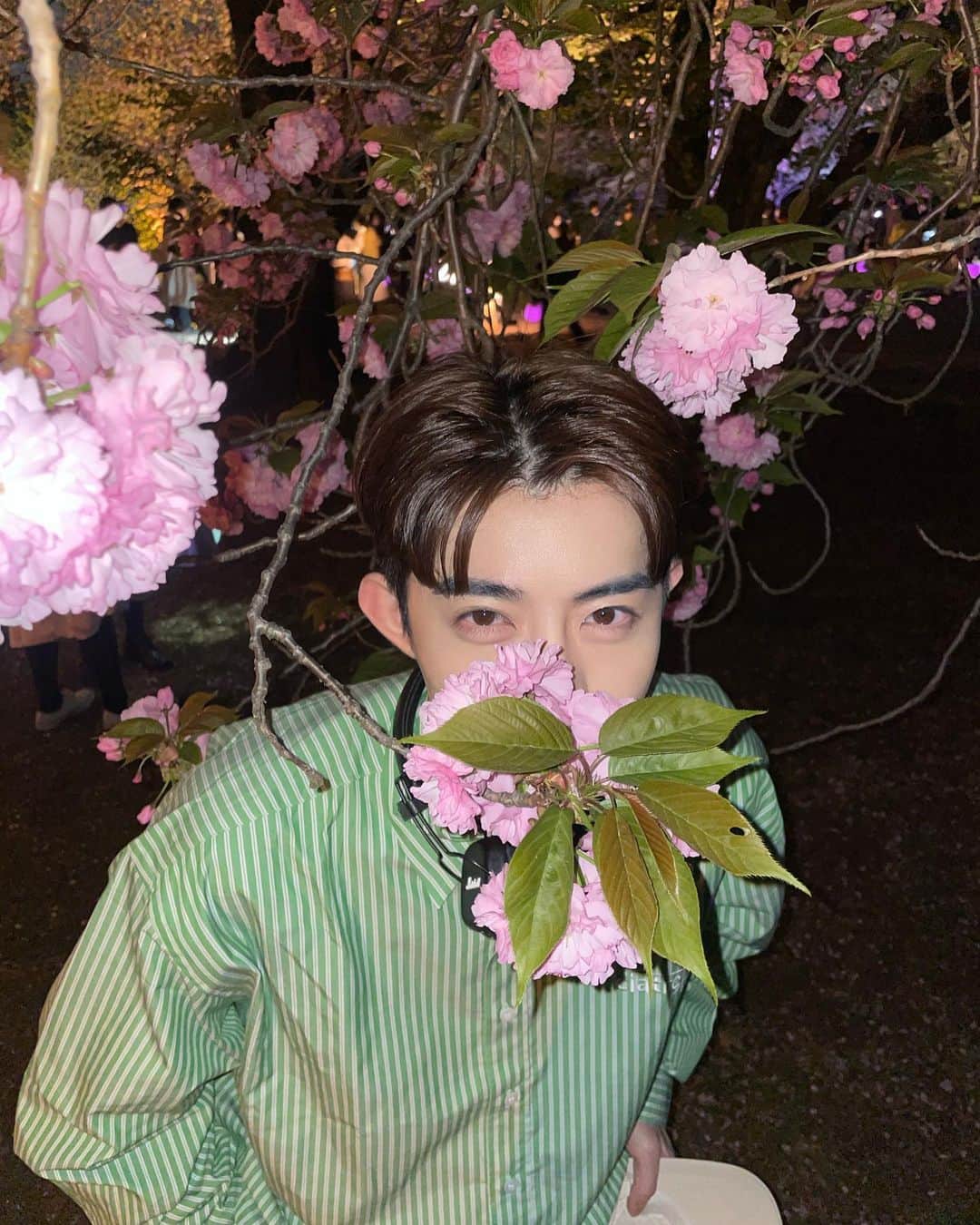 中谷日向のインスタグラム：「🌸」