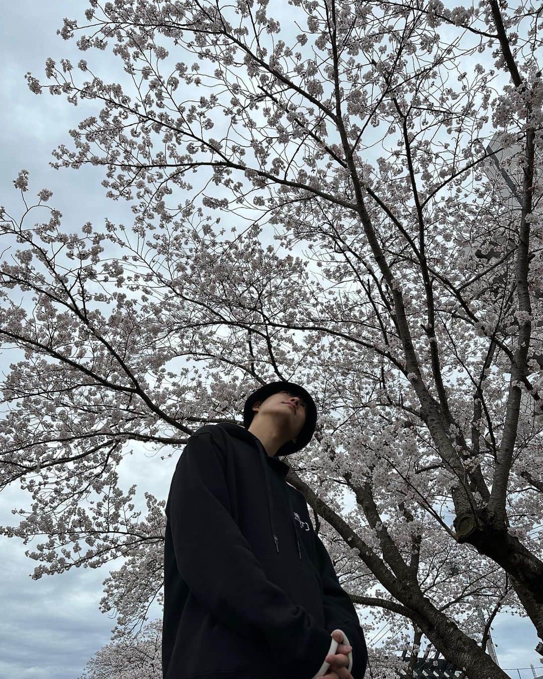寺田拓哉のインスタグラム：「#🌸 雨男も#桜 を楽しみたいのに… 계속 비가 와서 #벚꽃 을 즐기지 못하고… #끝물 • • #茨城 #さくら #川 #벚꽃놀이」