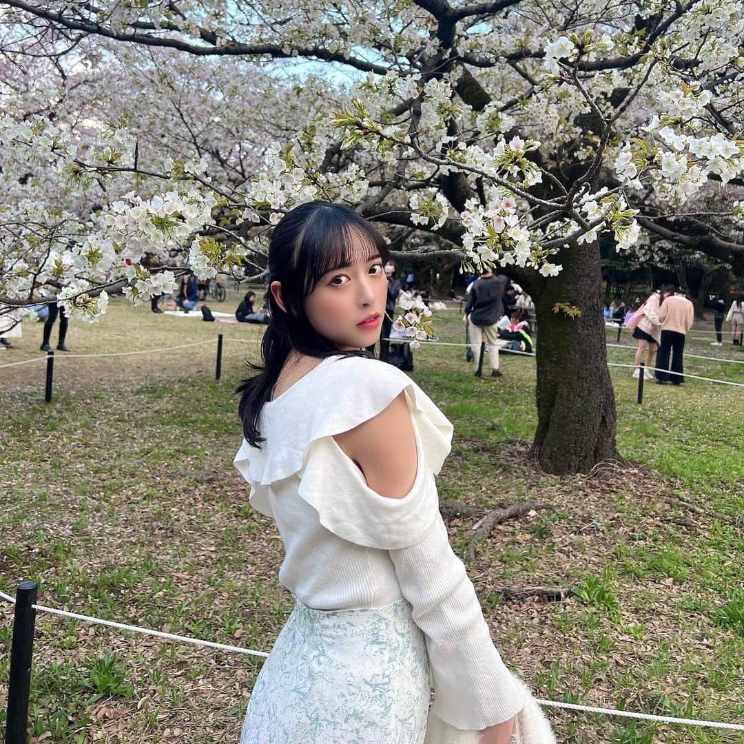 大槻りこのインスタグラム：「🌸  . 今年もサクラと写真撮れた¨̮︎︎✌︎  マスク外して撮ってる人たくさんいてコロナ前の日常戻ってきてる感じﾖｷ  (最後の動画は私のアホな笑い声付き🙊)  #instagood #fyp #foryou #selfie  #春服コーデ #snidel #grl」