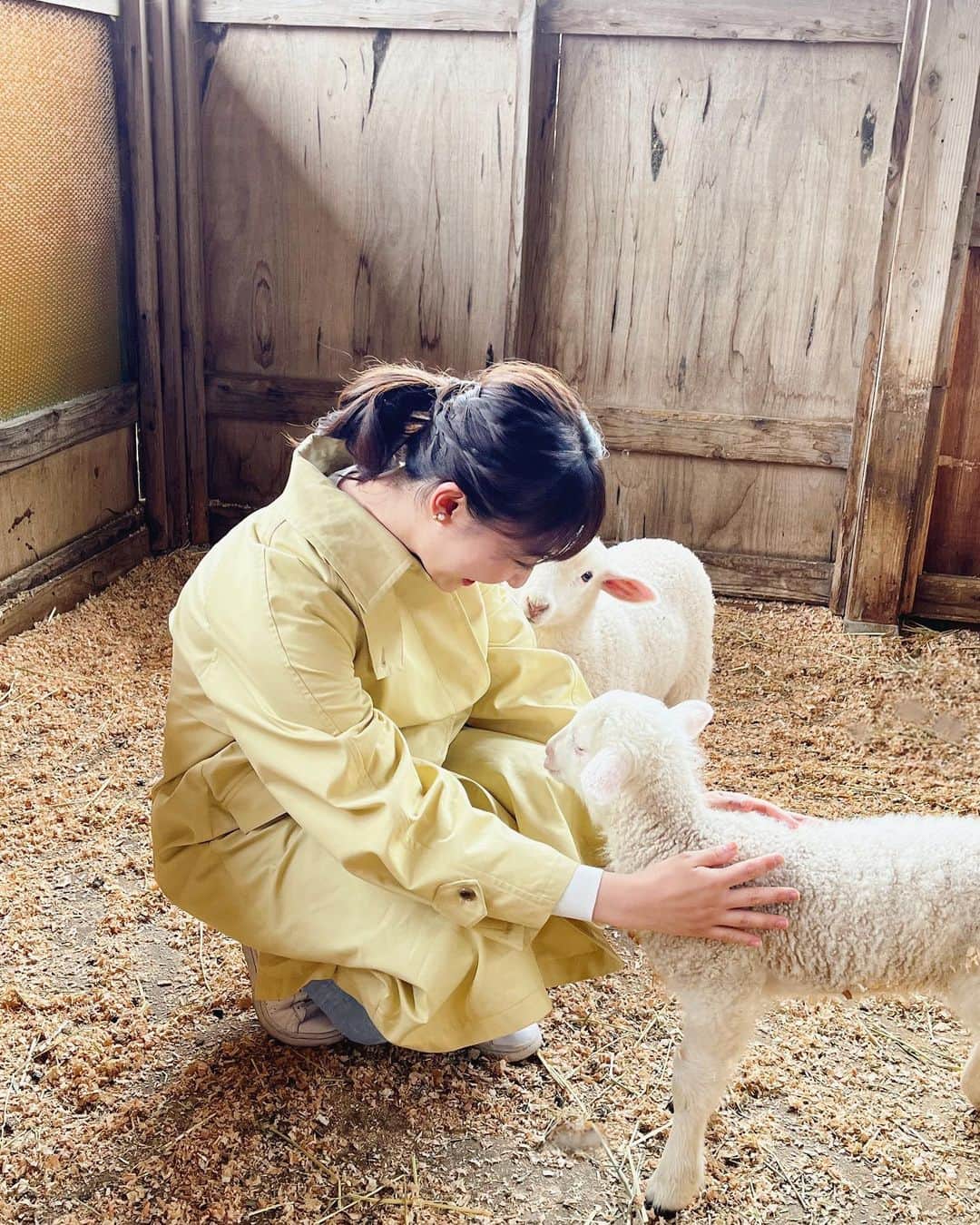 杉原凜のインスタグラム