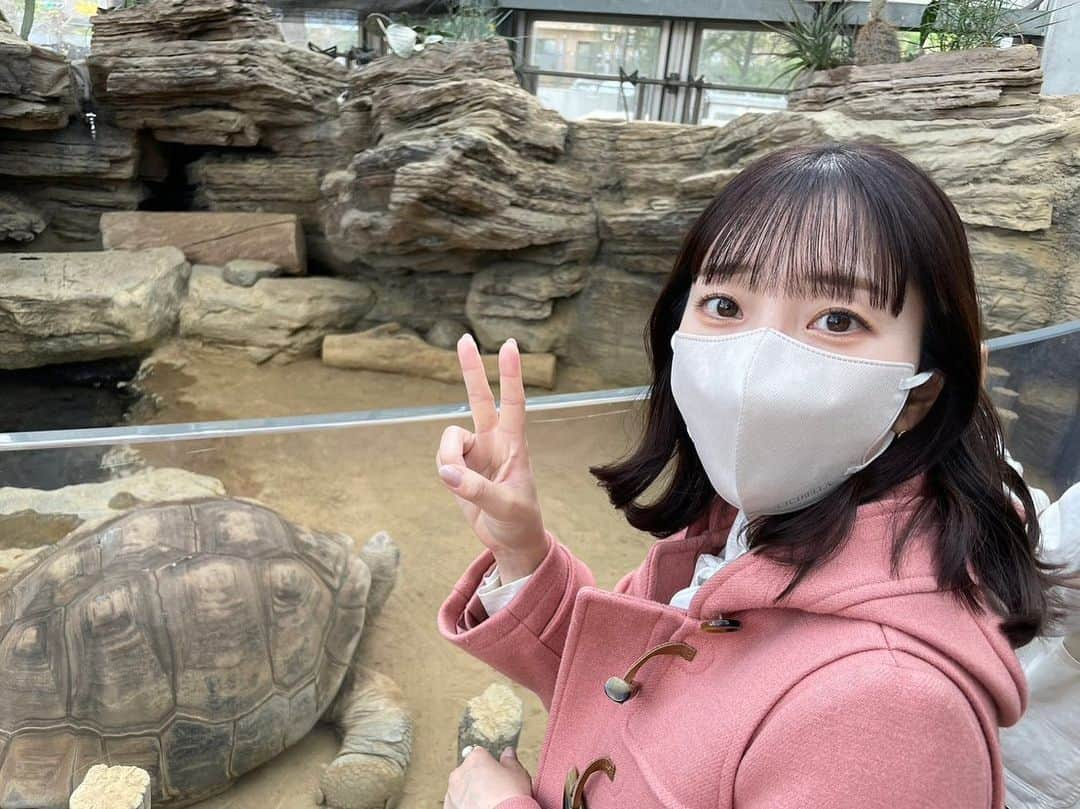 木下望のインスタグラム：「・ ・ 上野でのんちゃんとデート🐢🤍推しメンに会えた🐢🤍」