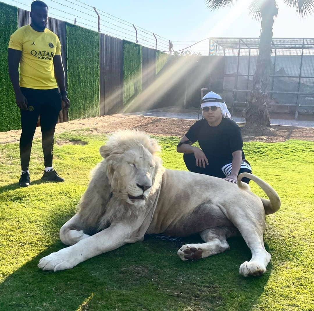 佐々木大のインスタグラム：「仕事で少し地元に帰ってきました  #dubai」