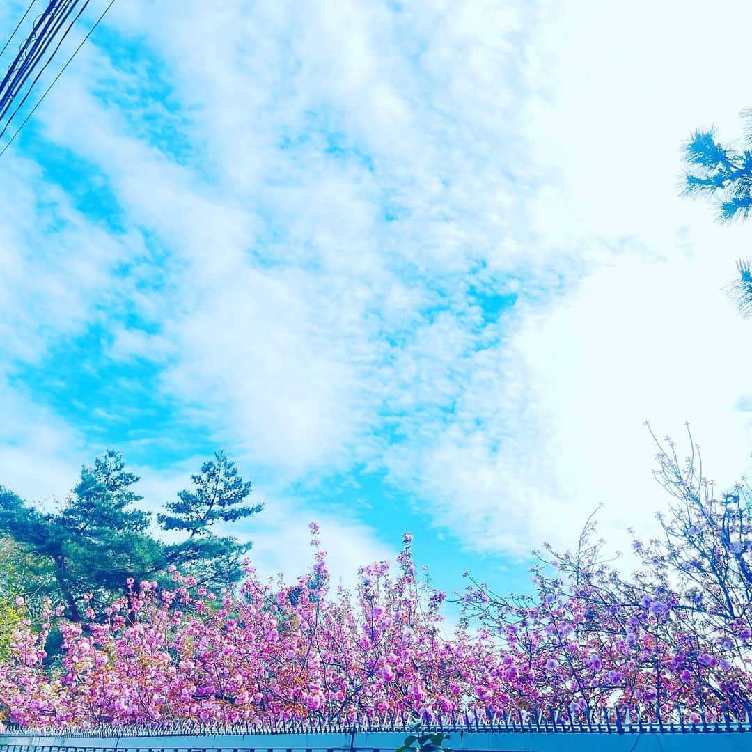 堀内敬子さんのインスタグラム写真 - (堀内敬子Instagram)「今泉りえちゃん！  お誕生日おめでとう🎁🎊🎉  忙しくて、なかなか会えないけれど。  ランチでお祝い🥂しました。  励まし合って、頑張ってます😊  素敵な一年となりますように🎂  #お誕生日 #おめでとう #忙しい合間にランチ」4月6日 19時40分 - horiuchi_keiko