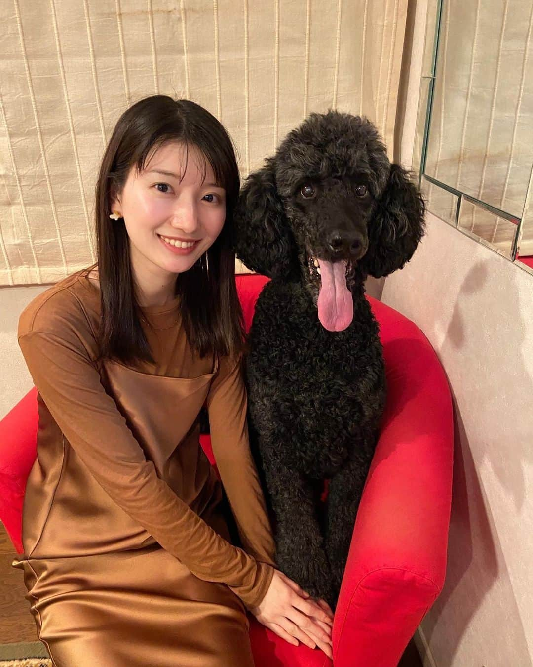 吉村恵里子さんのインスタグラム写真 - (吉村恵里子Instagram)「・ こんばんは！ 前に実家に帰った時、 ココちゃんとパシャリ📷  隣に座ると、私の座高と同じくらいで 目も口もココのほうが大きいんです。  可愛いお顔でいつも私の目をじっと見て、 会話しています。はあ可愛い。  わんちゃんや猫ちゃんの写真をみたら ストレスが軽減するらしいので、 毎日母に写真を送ってもらうようにしています。  皆さんにもシェアです🫶笑  #愛犬 #スタンダードプードル #犬 #プードル #可愛い犬」4月6日 19時44分 - yoshimura_eriko