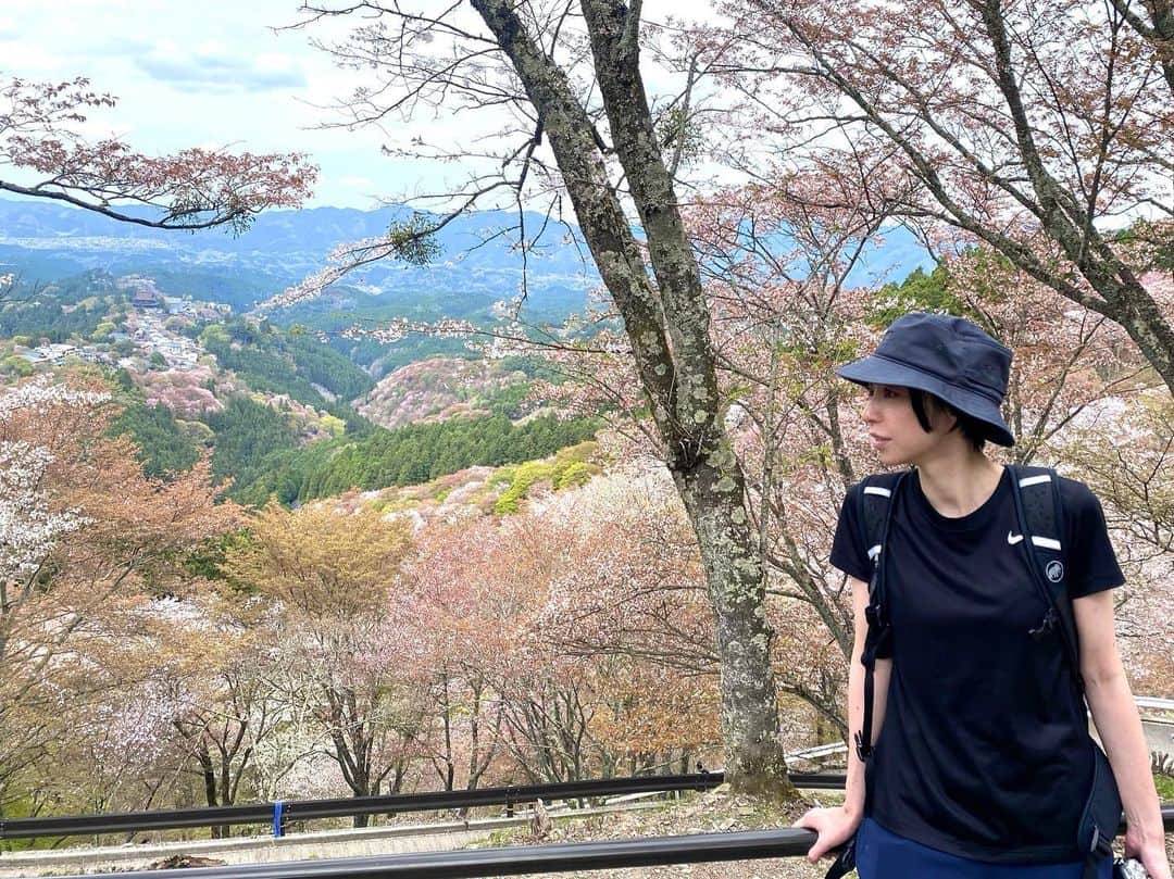古賀陽子のインスタグラム：「吉野の桜×登山🌸 桜を満喫できた最高の1日になりました😆🌸  また新しい感動と刺激を受けたので、良い作品につながれば嬉しいです😁🌸  #吉野山 #登山 #桜 #cherryblossoms  #画家の日常 #artistlifestyle  #アートコレクター #絵画のある暮らし #絵のある暮らし #美術好きな人と繋がりたい #神戸 #西宮 #美術 #ギャラリー #アートワーク #美術館 #展覧会  #japaneseartist #figurativepainting #figurativeart #artcollector #exhibit #exhibition #gallery  #artistsoninstagram #oiloncanvas  #artwork #painting #古賀陽子 #yokokoga」