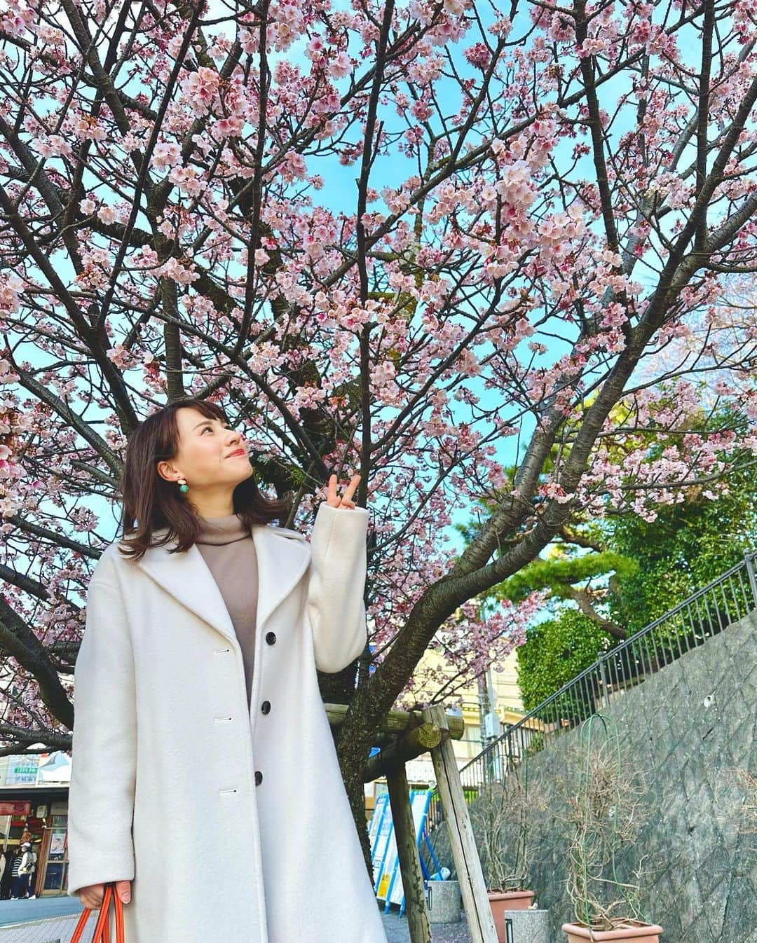 福永裕梨のインスタグラム：「桜の季節だねぇ🌸 ⠀ 今朝のイチモニ！では 札幌市内の早咲きの桜を中継でお届けしました☺️ ⠀ 段々と日も長くなってきて春の訪れを感じます📛  今年は桜を見ながらみんなでジンギスカン 囲みたいですよねぇ🐏🌸  そういえば道内の桜の開花予想が一段と早まりました！！😳 ⠀ 現時点で札幌は4/14だそうですよ！ いや〜さすがに早すぎる🥹 桜前線到来は待ち侘びていたし嬉しいのだけど… ここまで早いと計画しているお花見旅行の日程が 怪しくなってきました…🥲🌸（笑）  あの〜…全然全然！急がんでええで☺️ ほんまほんま！ゆっくりおいでや〜🐕 という心境です。（笑）  #サクラを見るとほっこりしますね🌸 #これは今年2月の熱海の桜 #熱海  #かなりの早咲きさん🌸 #品種はなんだろう？ 今日まで桜と疑わなかったけど早すぎて梅説もあるなぁ😇 #桜にお詳しい方教えてください #熱海のサクラ #北海道 #お花見 #桜前線 #スピード感 #もうちょっとゆっくりしてもええねんで🐶🌸 #HTB #アナウンサー #福永裕梨 #イチモニ！」