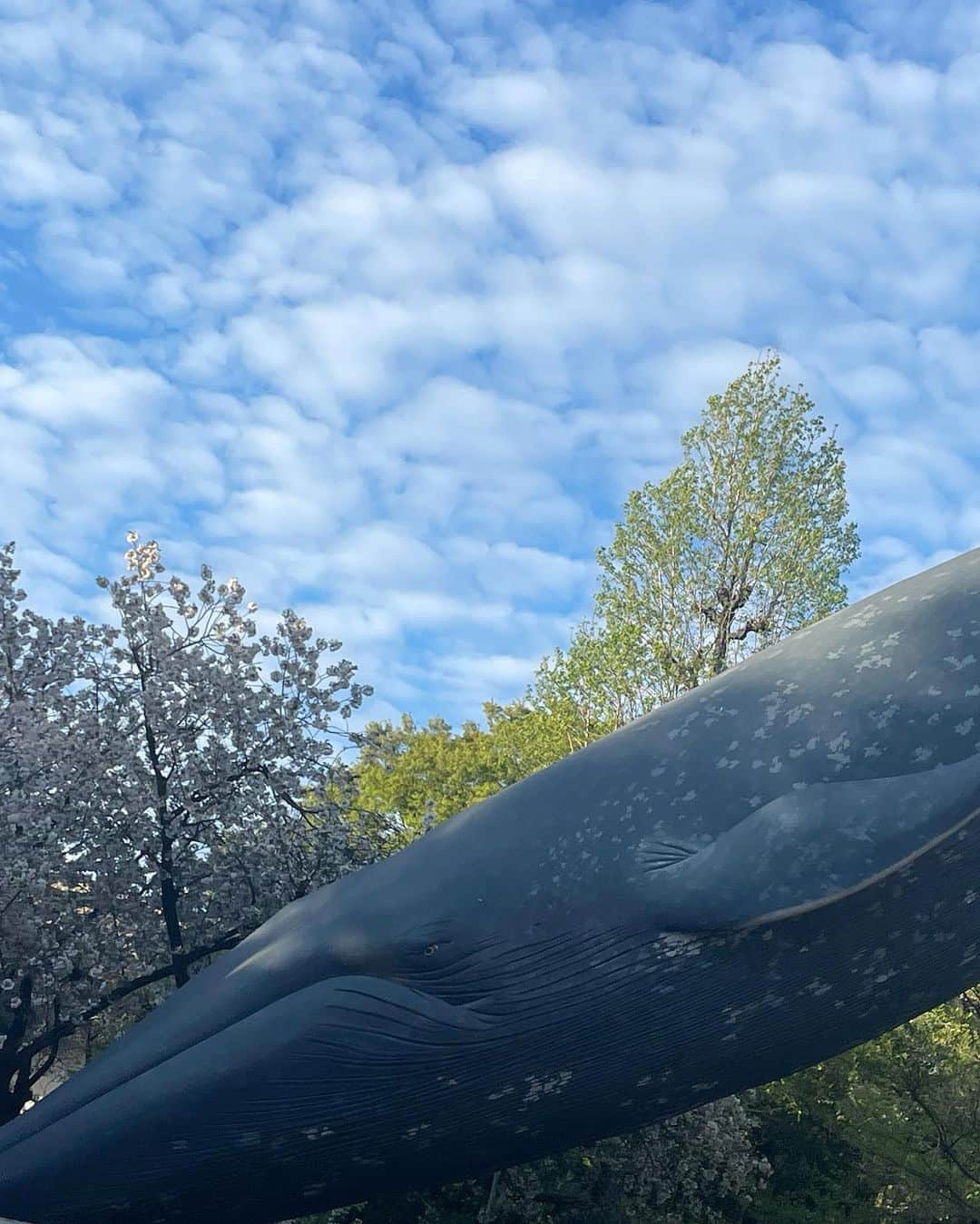 鎌滝えりさんのインスタグラム写真 - (鎌滝えりInstagram)4月6日 20時22分 - erikamataki