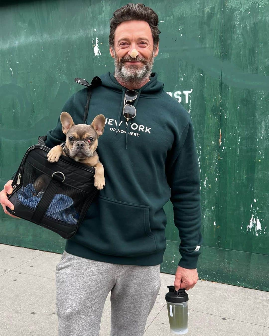 ヒュー・ジャックマンのインスタグラム：「Andy may be tiny but he’s fully committed to the training. #becomingwolverineagain. Also he’s not mine. He belongs to my trainer Beth Lewis.」