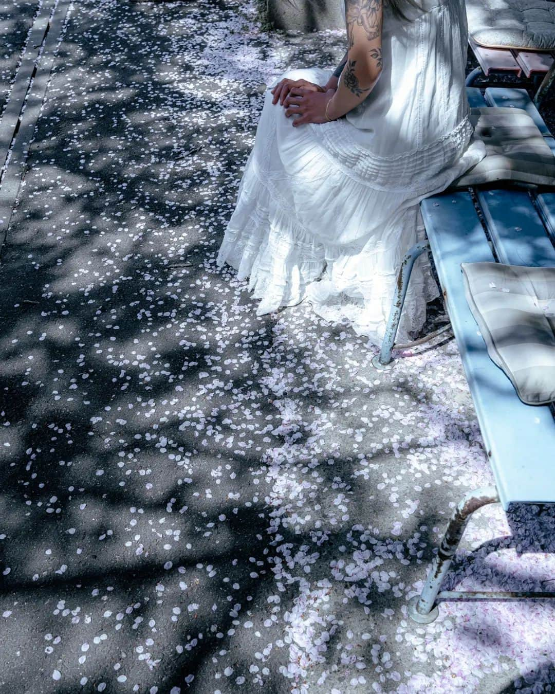 deepskyさんのインスタグラム写真 - (deepskyInstagram)「Dance in Cherryblossom  . . 香川県の桜を追いかけてきました。今年は開花が早く、だいぶ予定がくるいましたが、キレイな景色が見れて最高でした！ . . #Sakura #cheery #cherryblossom . . . #lonelyplanet #voyaged  #travelgram  #complexphotos  #sonyalpha  #roamtheplanet  #lovetheworld #spring  #beautifuldestinations #landscapephoto  #travel #roamearth #photography  #桜」4月6日 20時19分 - _deepsky