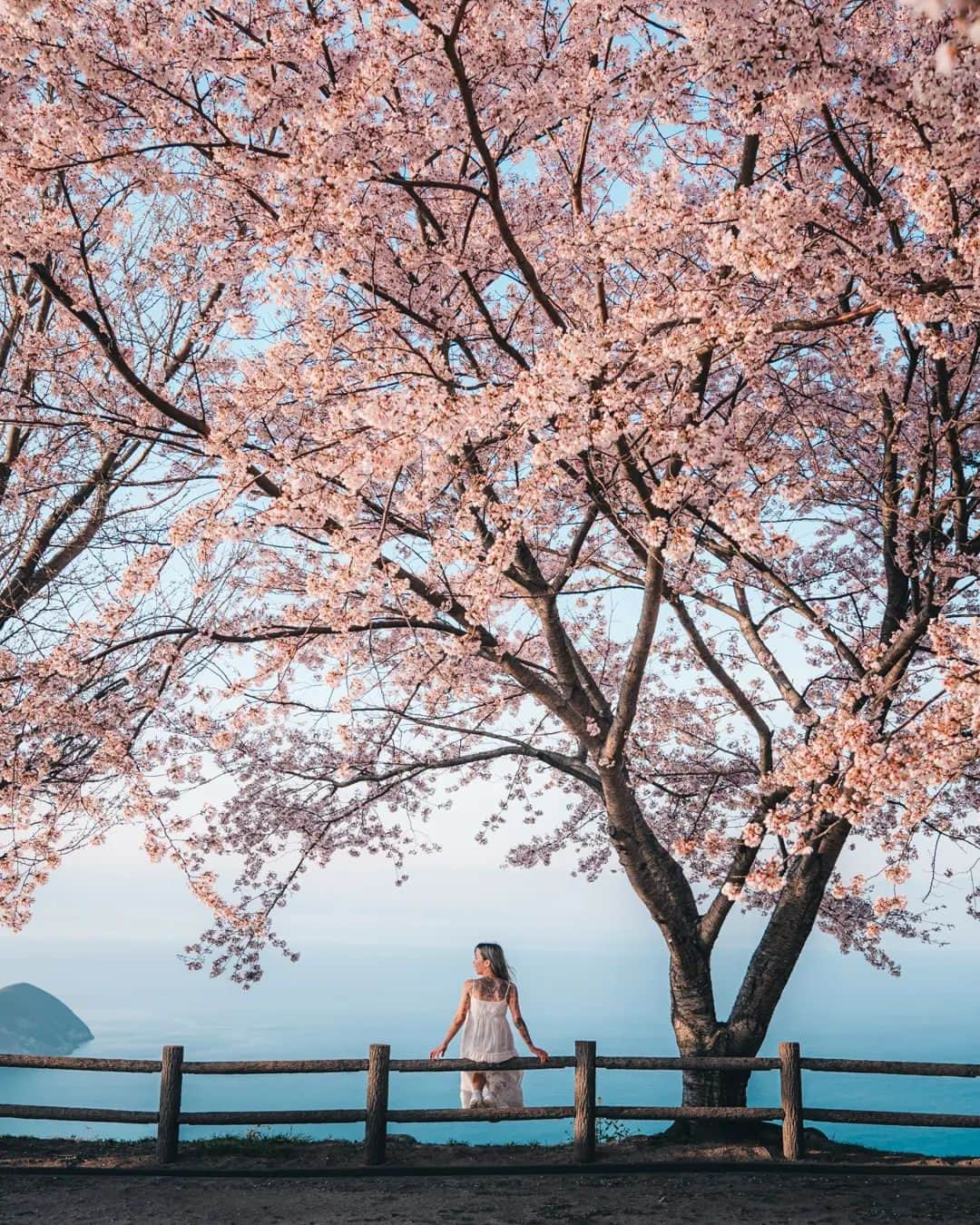 deepskyさんのインスタグラム写真 - (deepskyInstagram)「Dance in Cherryblossom  . . 香川県の桜を追いかけてきました。今年は開花が早く、だいぶ予定がくるいましたが、キレイな景色が見れて最高でした！ . . #Sakura #cheery #cherryblossom . . . #lonelyplanet #voyaged  #travelgram  #complexphotos  #sonyalpha  #roamtheplanet  #lovetheworld #spring  #beautifuldestinations #landscapephoto  #travel #roamearth #photography  #桜」4月6日 20時19分 - _deepsky