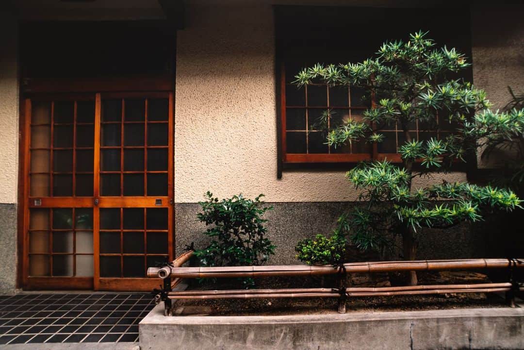 Michael Yamashitaさんのインスタグラム写真 - (Michael YamashitaInstagram)「Kyoto, a garden lovers paradise: Japanese remain fervently attached to their gardens in all their manifestations. Even the smallest patch of a city street can be transformed into an island of living green to please the eye and the soul. Here are a few examples of “street gardens” from a neighborhood in Kyoto. #kyotogardens #japanesegardens #kyotostyle #kyotostreet #streetgarden」4月6日 20時19分 - yamashitaphoto