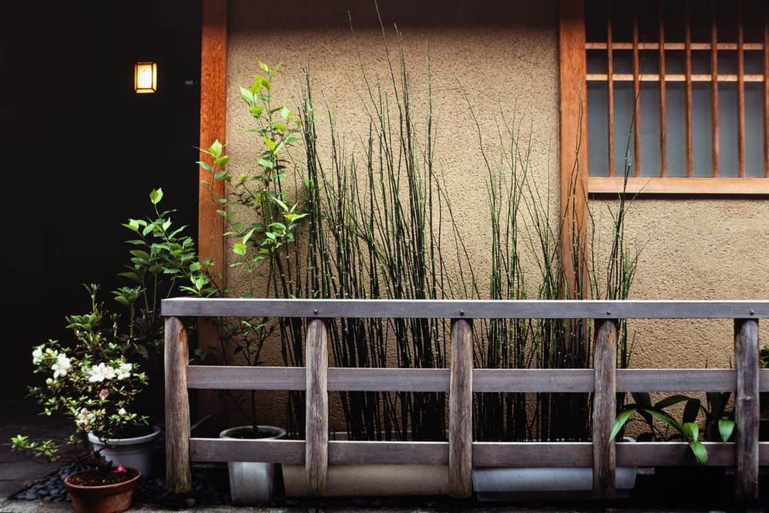 Michael Yamashitaさんのインスタグラム写真 - (Michael YamashitaInstagram)「Kyoto, a garden lovers paradise: Japanese remain fervently attached to their gardens in all their manifestations. Even the smallest patch of a city street can be transformed into an island of living green to please the eye and the soul. Here are a few examples of “street gardens” from a neighborhood in Kyoto. #kyotogardens #japanesegardens #kyotostyle #kyotostreet #streetgarden」4月6日 20時19分 - yamashitaphoto