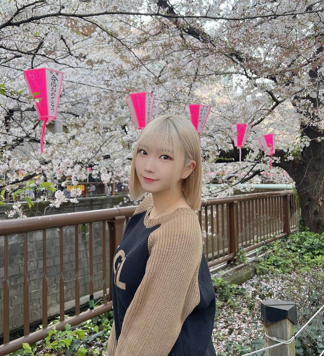 のインスタグラム：「🌸🌸🌸  桜いつまでさいてるだろ、、、🧎🏻‍♂️  もうちょっとしたら終わっちゃうかなぁ🧎🏻‍♂️🧎🏻‍♂️  #目黒川 #日本観光 #中目黒 #目黒川桜まつり #桜 #sakura #japan #japantravel #春コーデ #xgirl #japanesegirl #桜スポット #春服 #ストリート系女子 #ハイトーンカラー #切りっぱなしボブ」