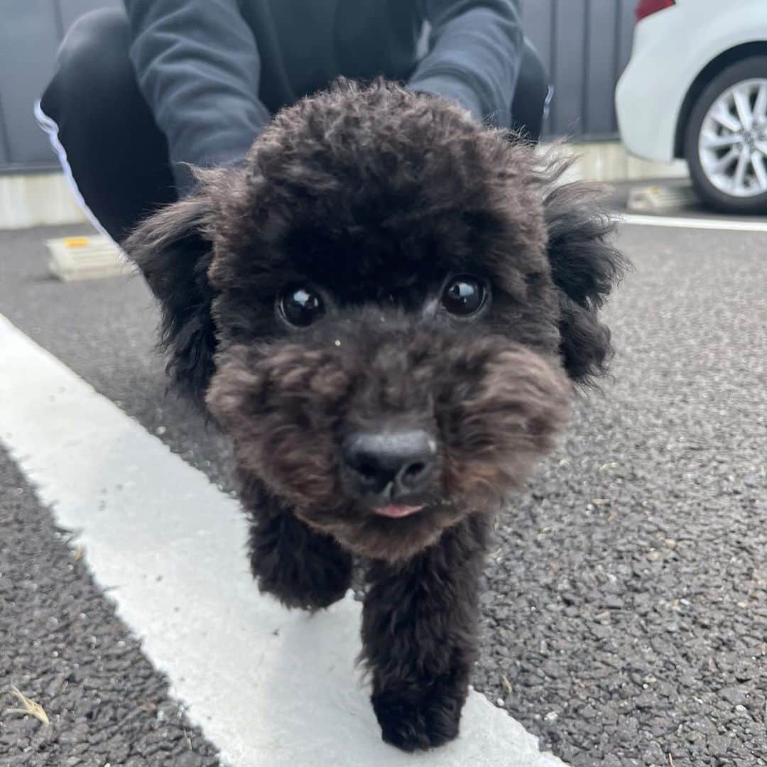 野村香奈のインスタグラム：「🥺😛💜🫰  📸@moe.sasaki.0918  #映えの天才 #笑顔120%女子」
