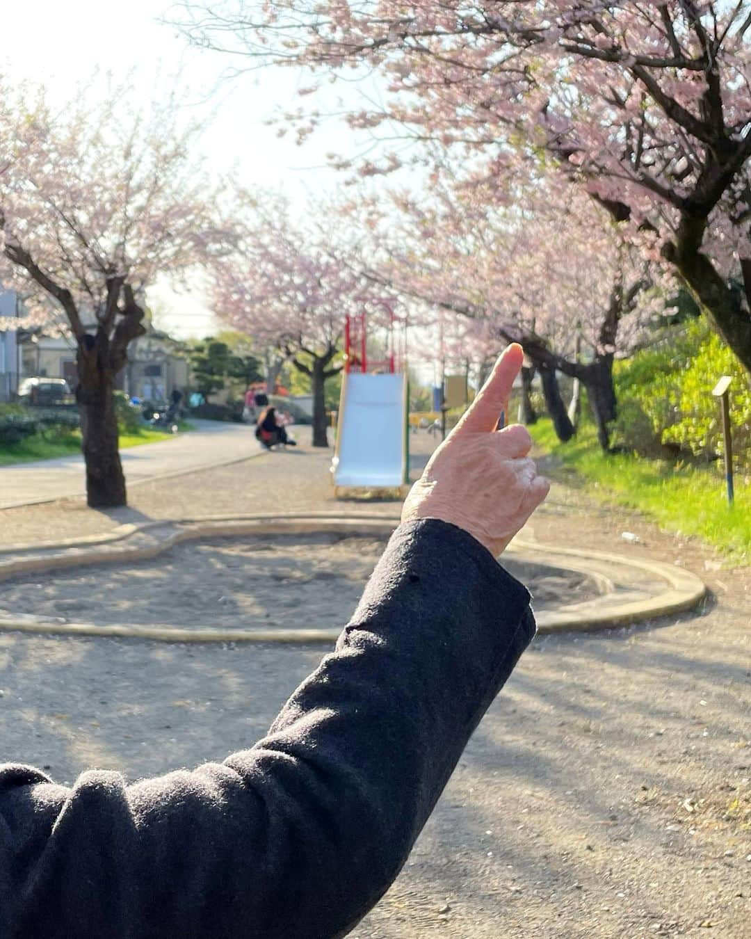 結城さなえさんのインスタグラム写真 - (結城さなえInstagram)「今年の桜さん達、ありがとう🌸  また来年♡  #桜  #春 #sakura #spring #2023」4月6日 20時57分 - yuukisanae