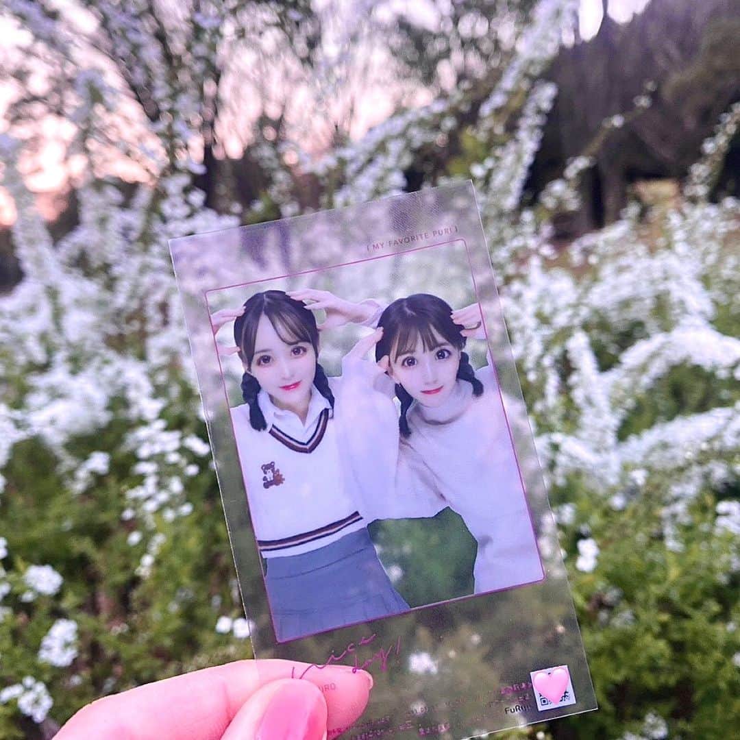 村西里世のインスタグラム：「💐🎞️💕  #代々木公園 #sunset #flowers #friend」