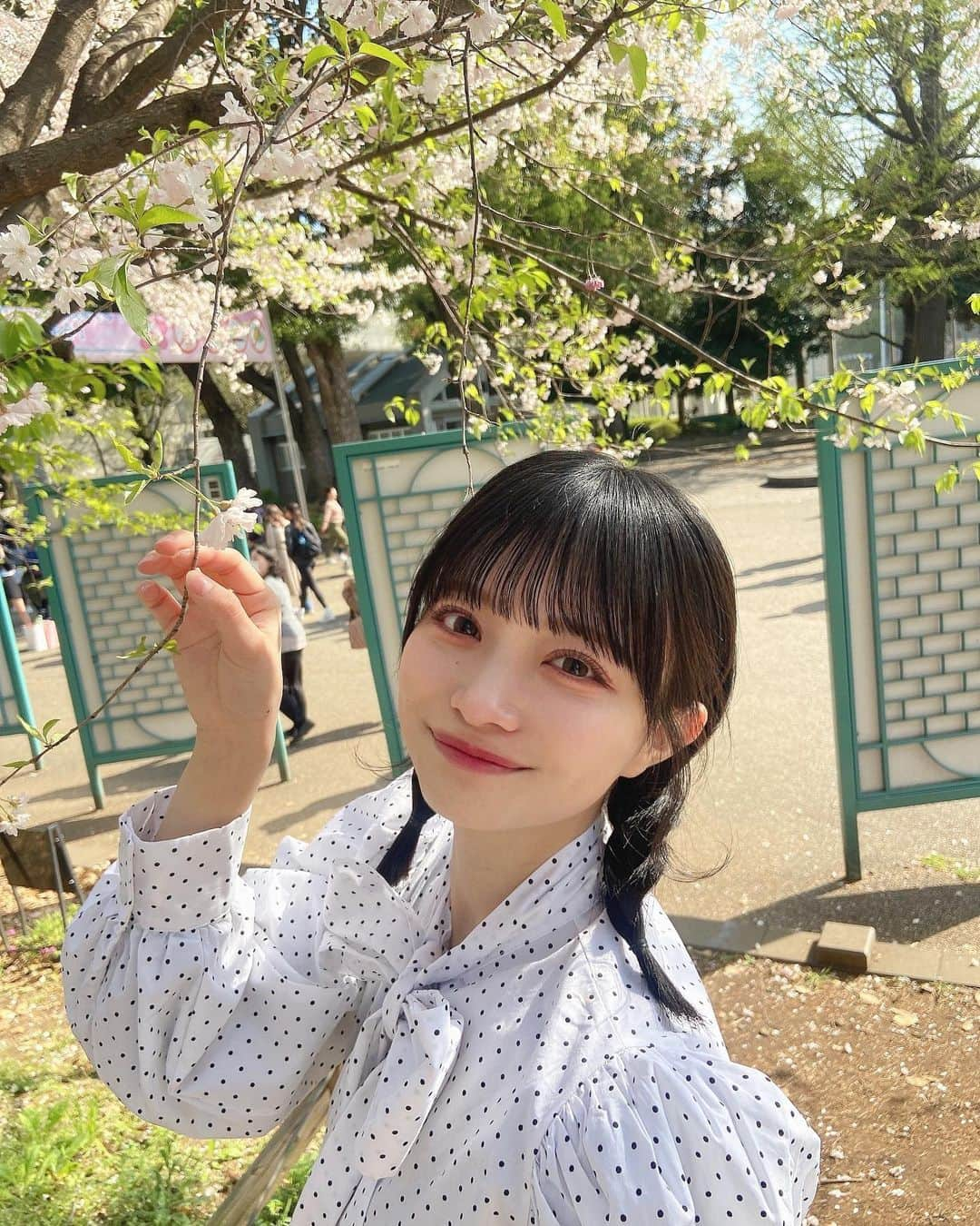 桜木ことさんのインスタグラム写真 - (桜木ことInstagram)「👧🏻🎂 ⁡ 今日は私の誕生日でした！ みんなたくさんお祝いしてくれて嬉しい🥺ありがとう🫶🏻 ハンナが突撃訪問でお祝いしてくれたの〜 今年のケーキはガトーショコラでした🤍 これからも頑張ります！🌸」4月6日 21時21分 - koto_sakuragi