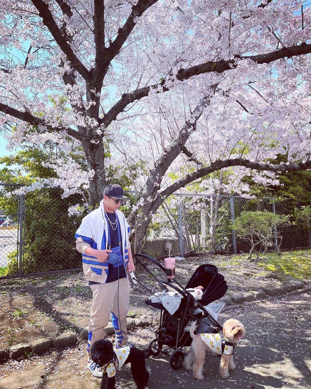 松尾大河さんのインスタグラム写真 - (松尾大河Instagram)「花見🌸 家族で花見に行って来ました！ 沖縄では、桜があるかないか分からないですけど、笑 何年振りの桜を見てご飯を食べたり遊んだりしていい時間を過ごしました！！🌸 #舞鶴公園  #松尾大河 #家族 #ファミリー #花見 #花見スポット #福岡」4月6日 21時31分 - taiga.0405