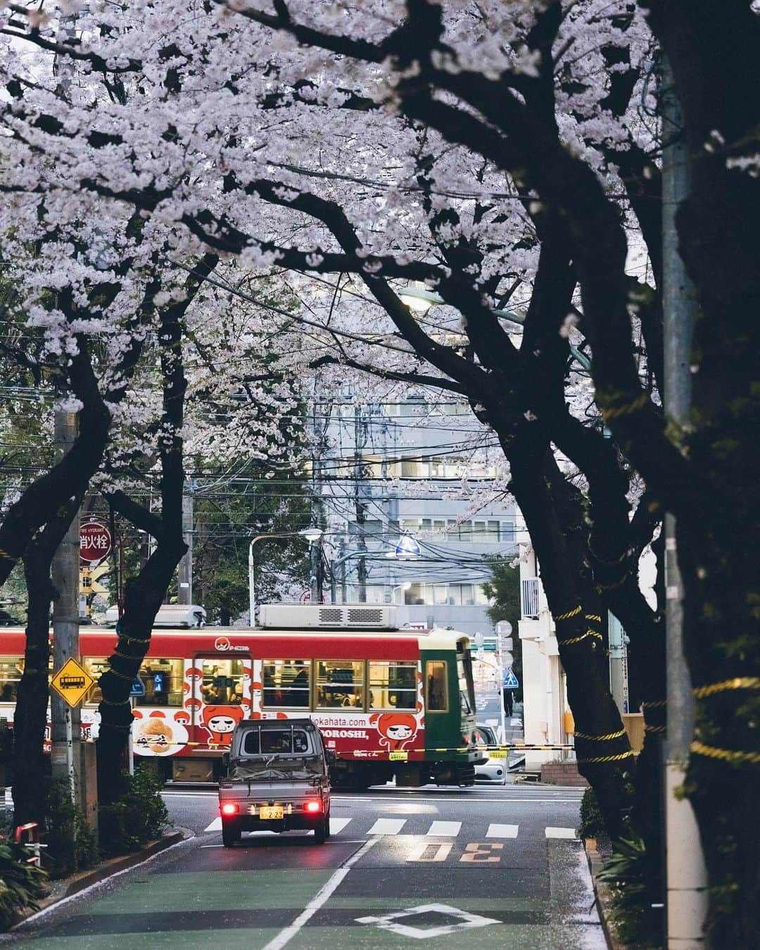 Yuma Yamashitaさんのインスタグラム写真 - (Yuma YamashitaInstagram)「Tokyo Cherry blossoms  桜は儚いからこそ美しい。を今年は何故だか強く感じました。  #hellofrom Tokyo #cherryblossom #桜」4月6日 21時25分 - yuma1983