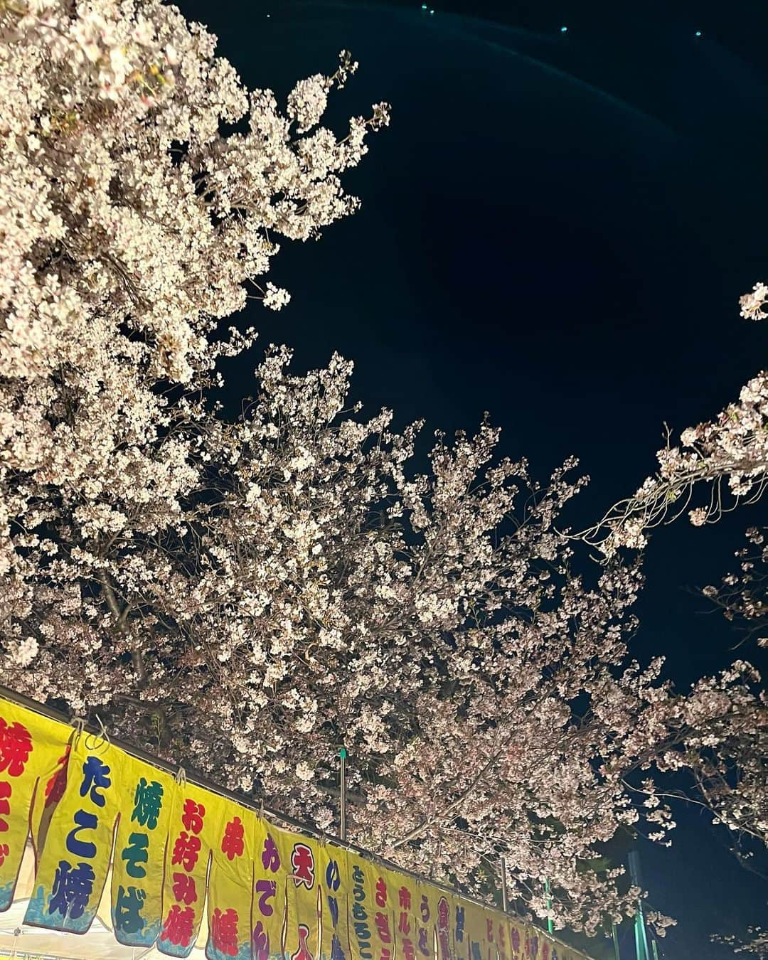 高嶋楓さんのインスタグラム写真 - (高嶋楓Instagram)「🌸🌸🌸🌸」4月6日 21時29分 - kpy_passcode