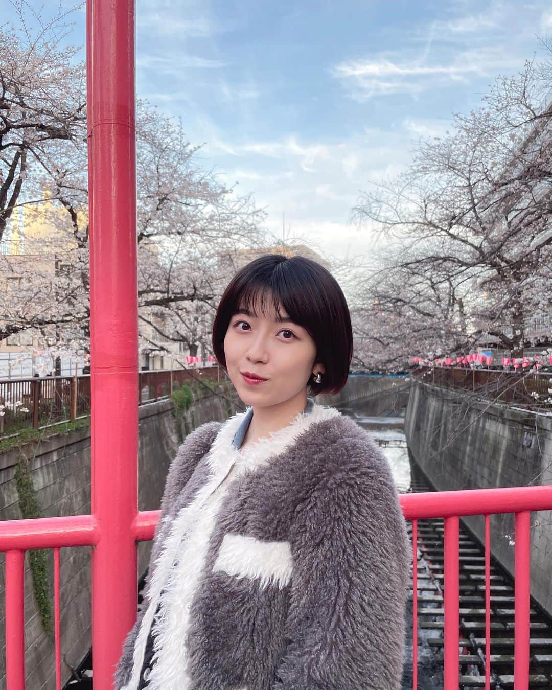 のインスタグラム：「お花見した🌸  5kmくらい歩いてたらしいけど 大笑いしながらだったから 疲れに気付かず楽しかった〜 #花見 #目黒川 #散歩」