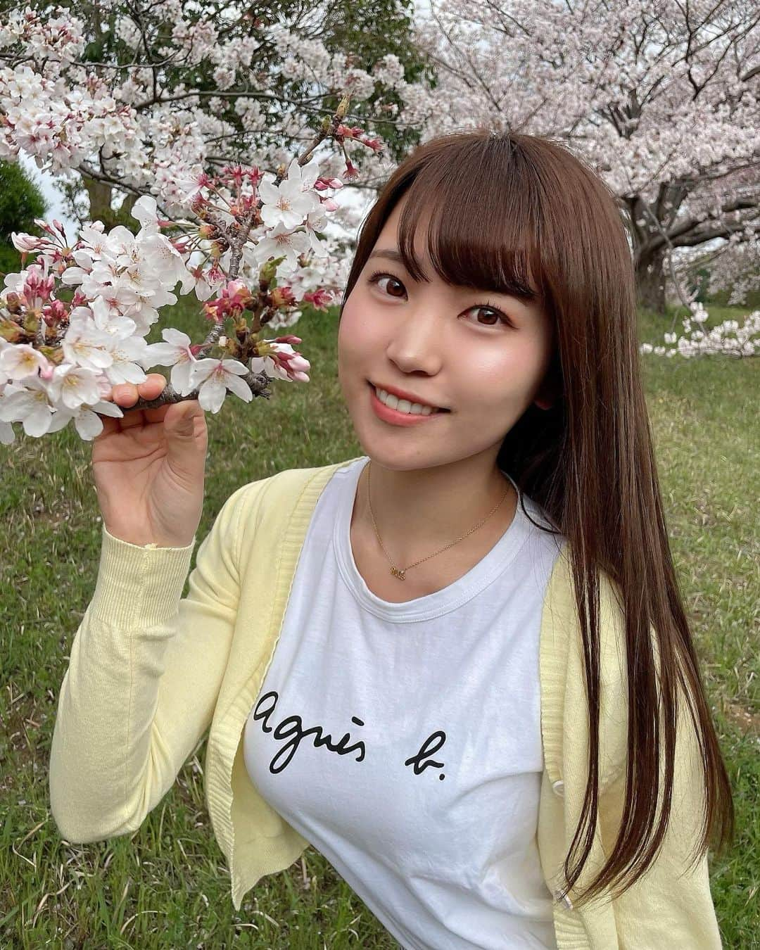 坂東遥さんのインスタグラム写真 - (坂東遥Instagram)「レオくんとお散歩🐶💛🌸」4月6日 21時40分 - b.haruka1103