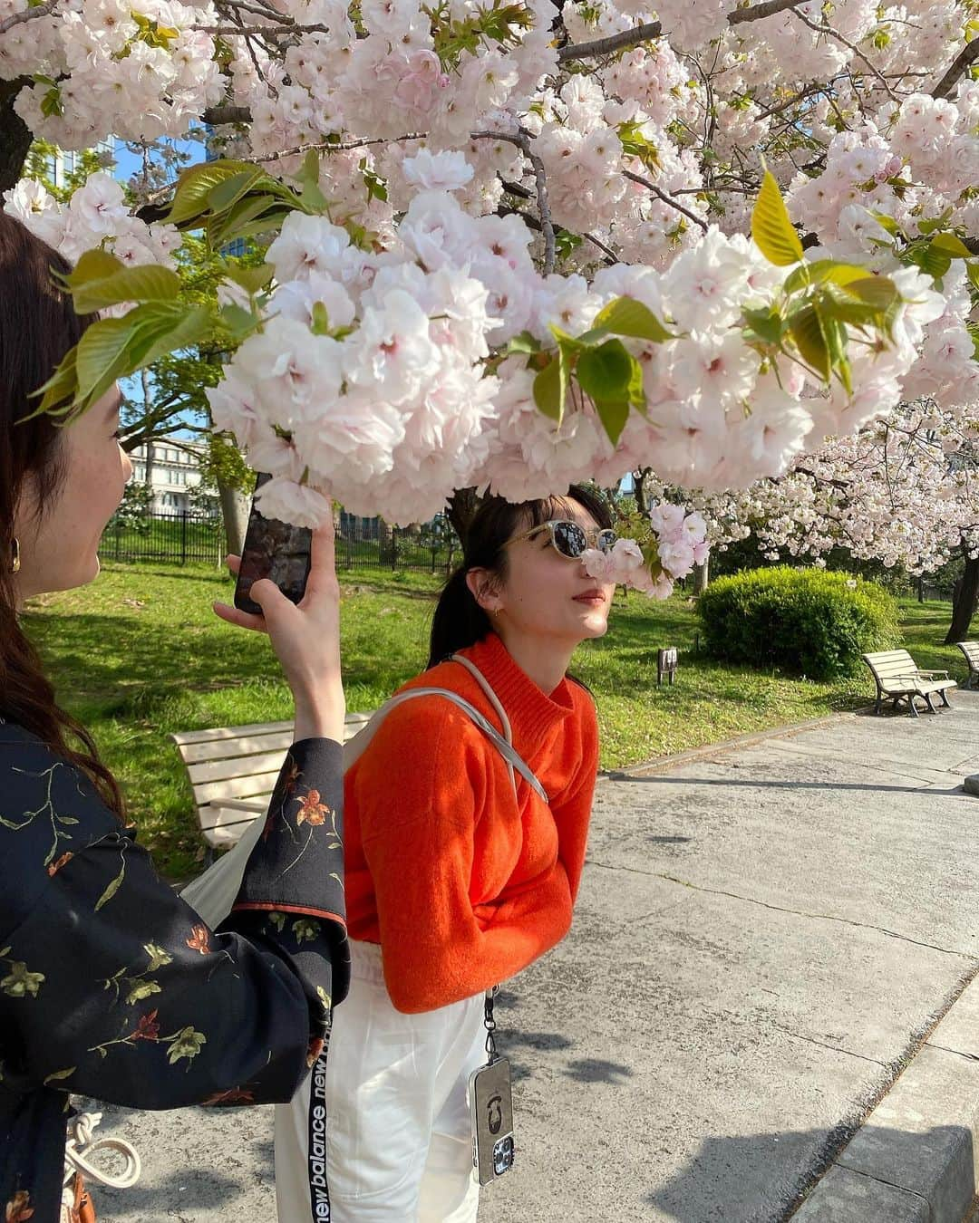 倉本知尋のインスタグラム：「皇居散歩〜☺️ 桜って香りしないだ〜！！ 桜餅の香りしないだ〜☺️  フリスビーもして 飲茶たべて お茶して 優雅な休日をすごせました🤍」