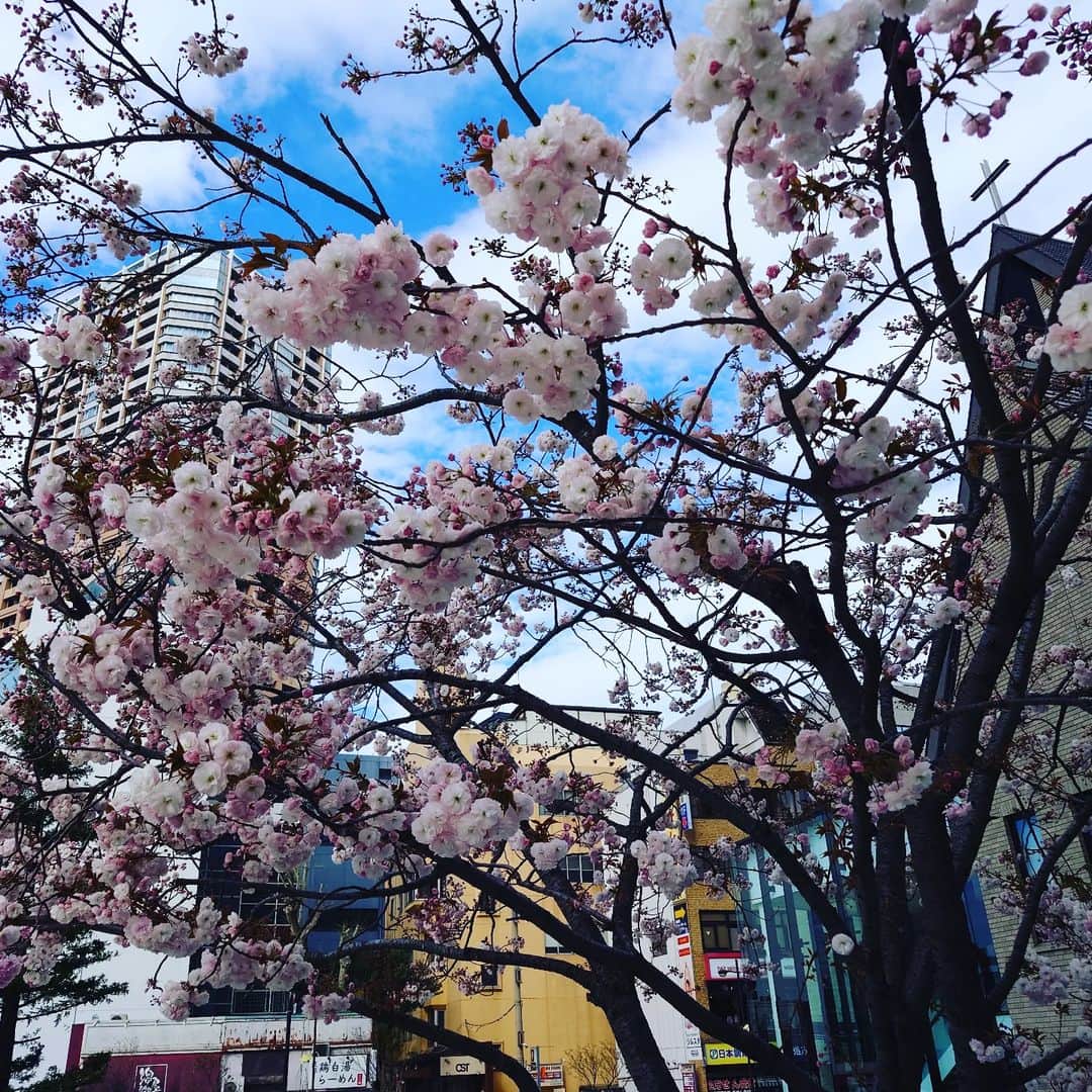 置鮎龍太郎さんのインスタグラム写真 - (置鮎龍太郎Instagram)「バーガー🍔バーガー🍔、鯖、ほっけ♪」4月6日 21時50分 - chikichikiko
