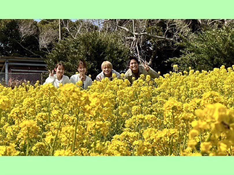 日本テレビ「ヒルナンデス！」さんのインスタグラム写真 - (日本テレビ「ヒルナンデス！」Instagram)「. おかえりなさい横山さん！木曜メンバー全員で行く春ツアー、いかがでしたか？  グルメに絶景にアクティビティに、盛りだくさんで大満足の1日でした！！🍓🏕️🌞🍳🐄  そして今日から木曜レギュラーの#吉村崇 さんも、これからよろしくお願いします！！  日本橋で1500円以内でグルメを堪能できるなんて、お得ですよね✨どれも珍しくて魅力的でした！  🌼明日のヒルナンデスは〜？🌼  ①金曜3姉妹おしゃべり週末旅 マチャミ&SHELLY &王林が 古民家貸切の休日プラン提案！  ②世代別パーセントダービー あるテーマに沿って各世代で1番人気のものをアンケート調査！  ③北斗・凛のお買い得ッキング 北斗流春キャベツ使い切りレシピ  #ヒルナンデス #南原清隆 #横山裕 #関ジャニ∞ #中間淳太 #桐山照史 #ジャニーズWEST #大沢あかね #木村昴 #生見愛瑠 #高橋茂雄 #八木真澄 #浦野モモ (C)日本テレビ」4月6日 22時00分 - hirunandesu_ntv_official