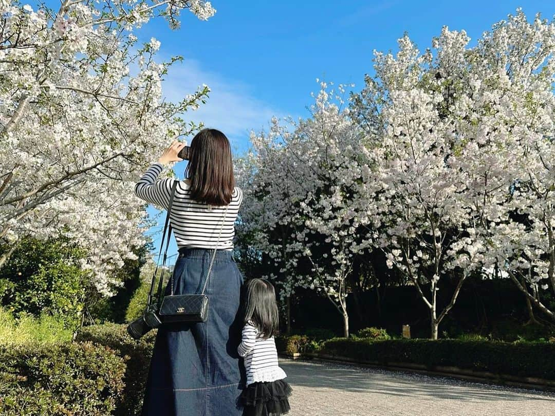 繁田美貴のインスタグラム